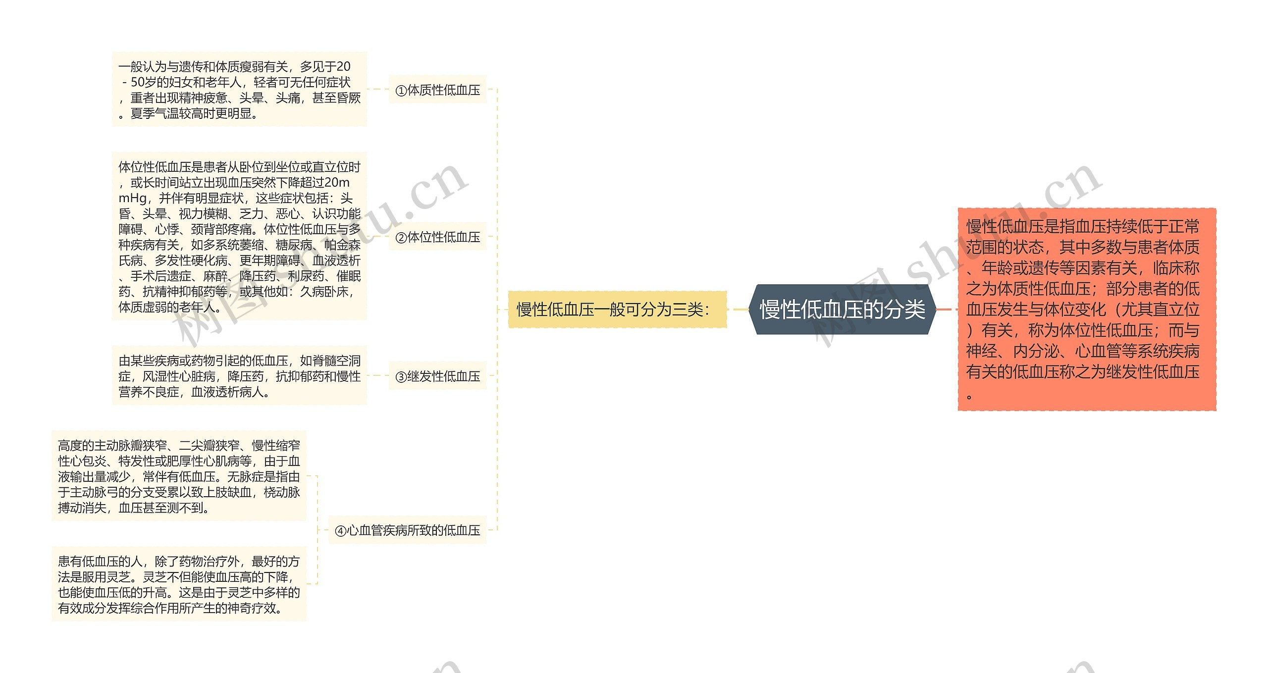 慢性低血压的分类思维导图