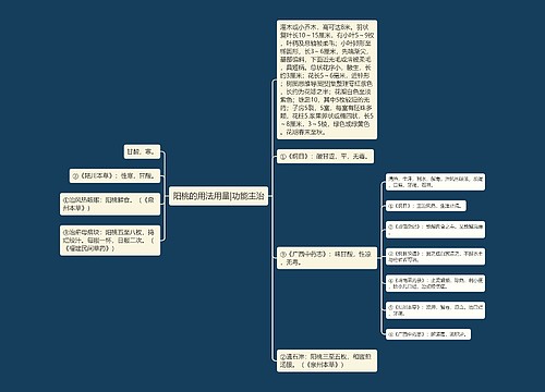 阳桃的用法用量|功能主治