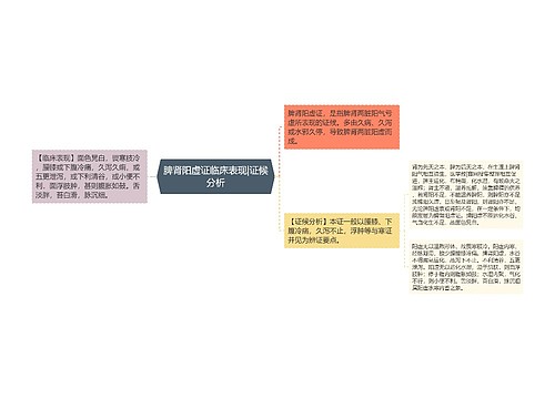 脾肾阳虚证临床表现|证候分析