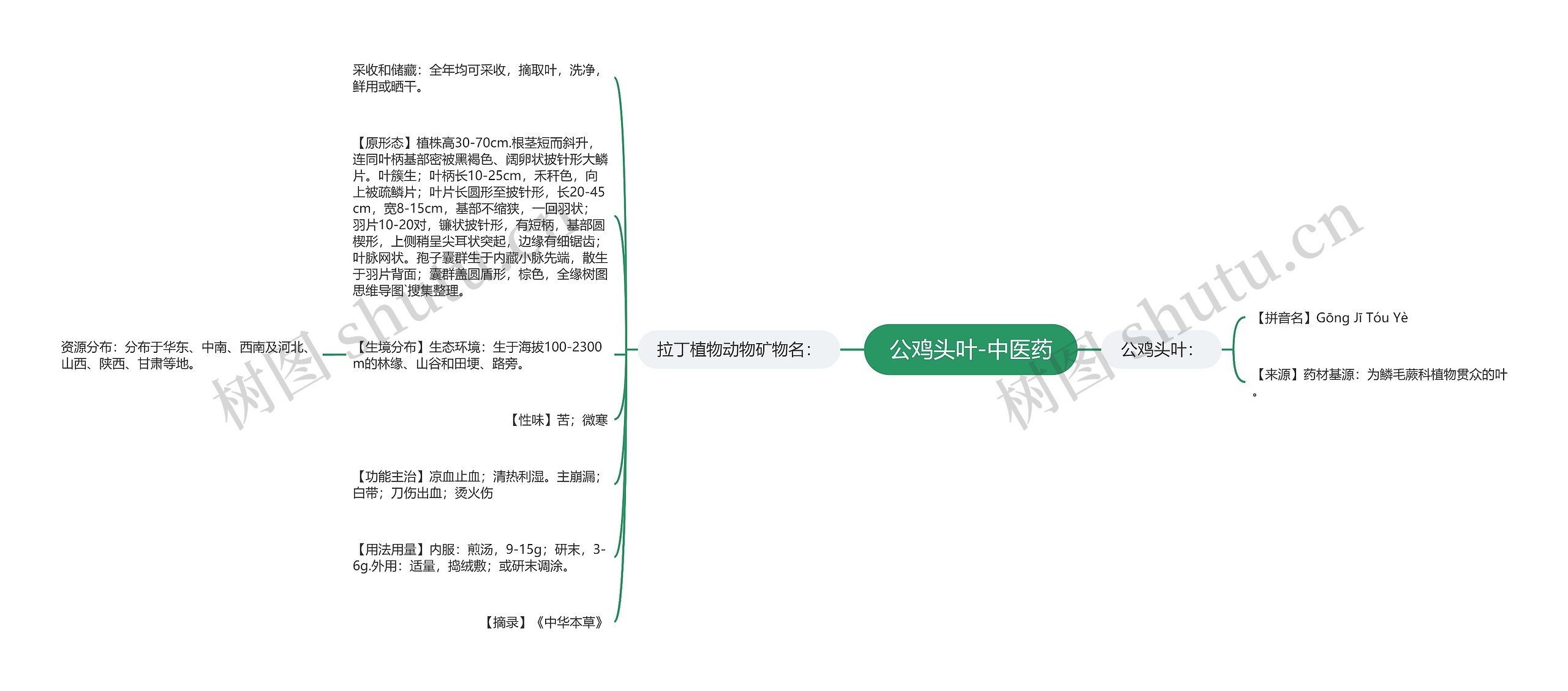 公鸡头叶-中医药思维导图