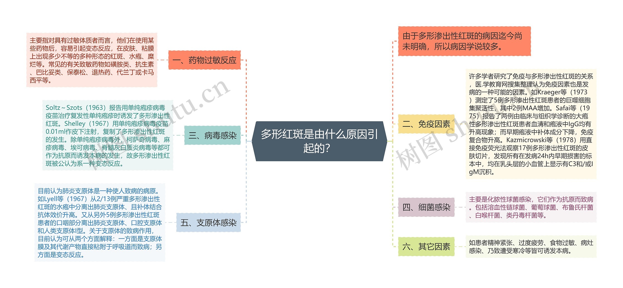 多形红斑是由什么原因引起的？