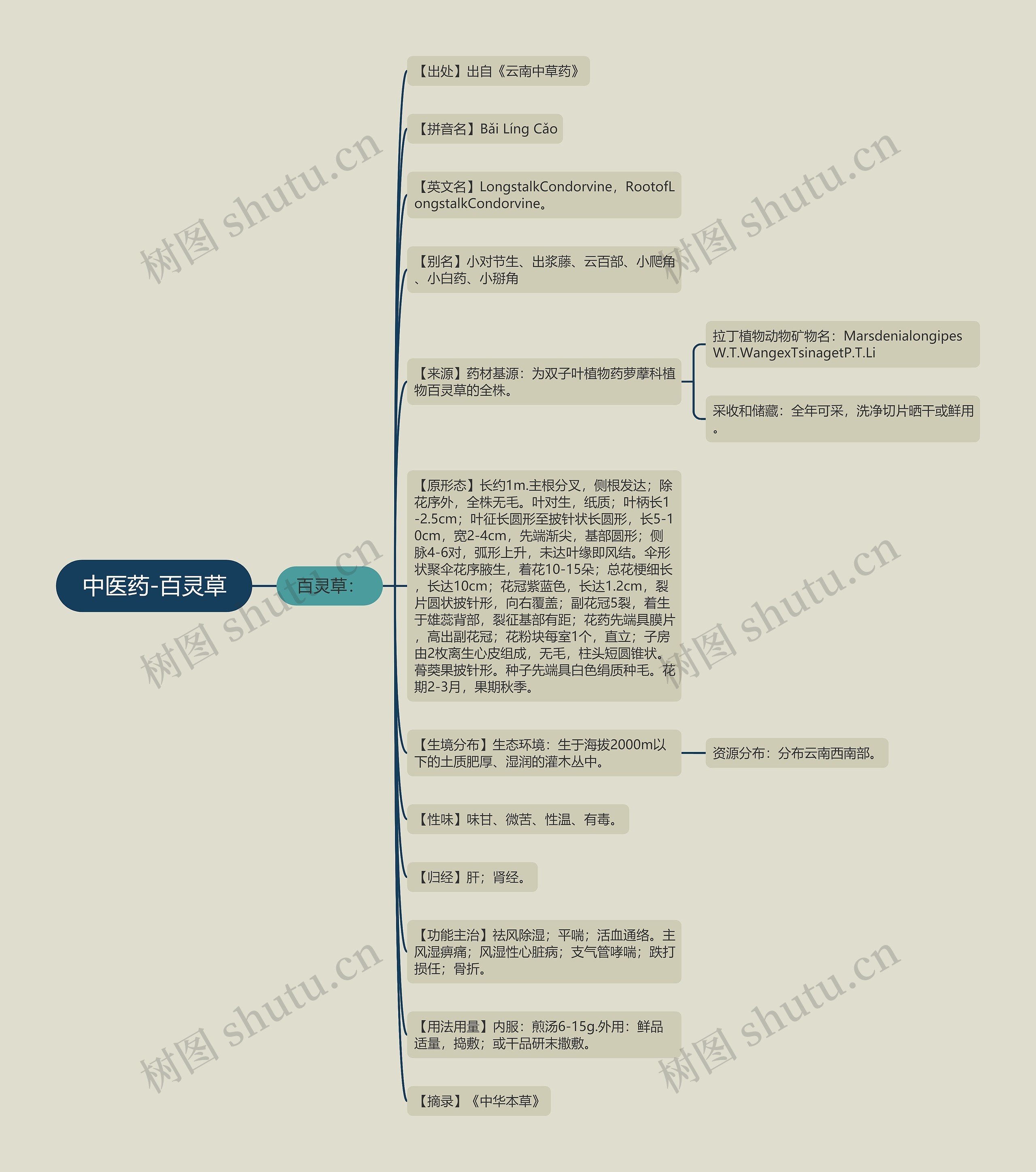 中医药-百灵草思维导图