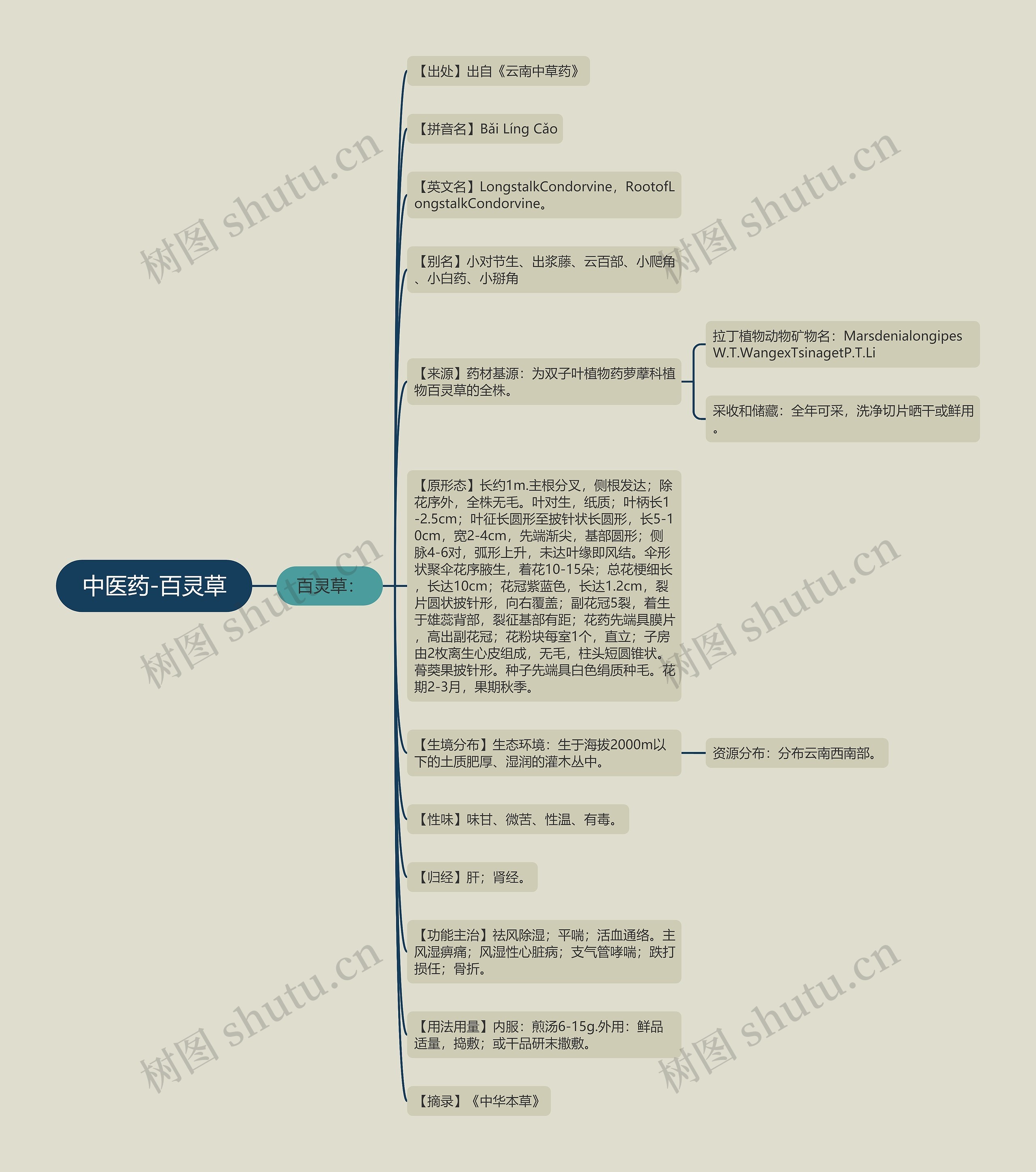 中医药-百灵草 中医药-百灵草