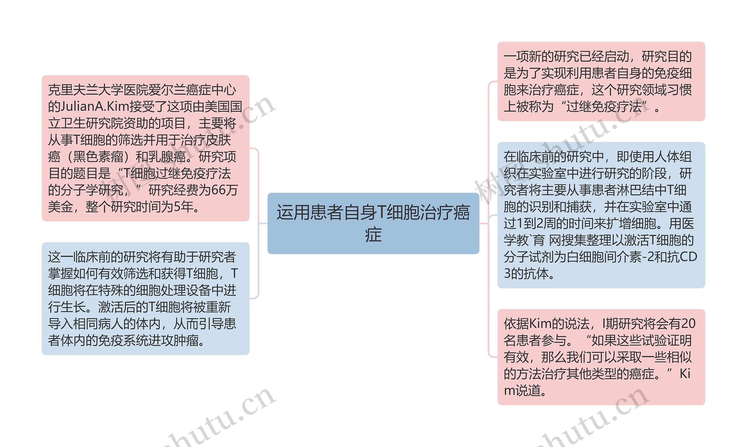 运用患者自身T细胞治疗癌症