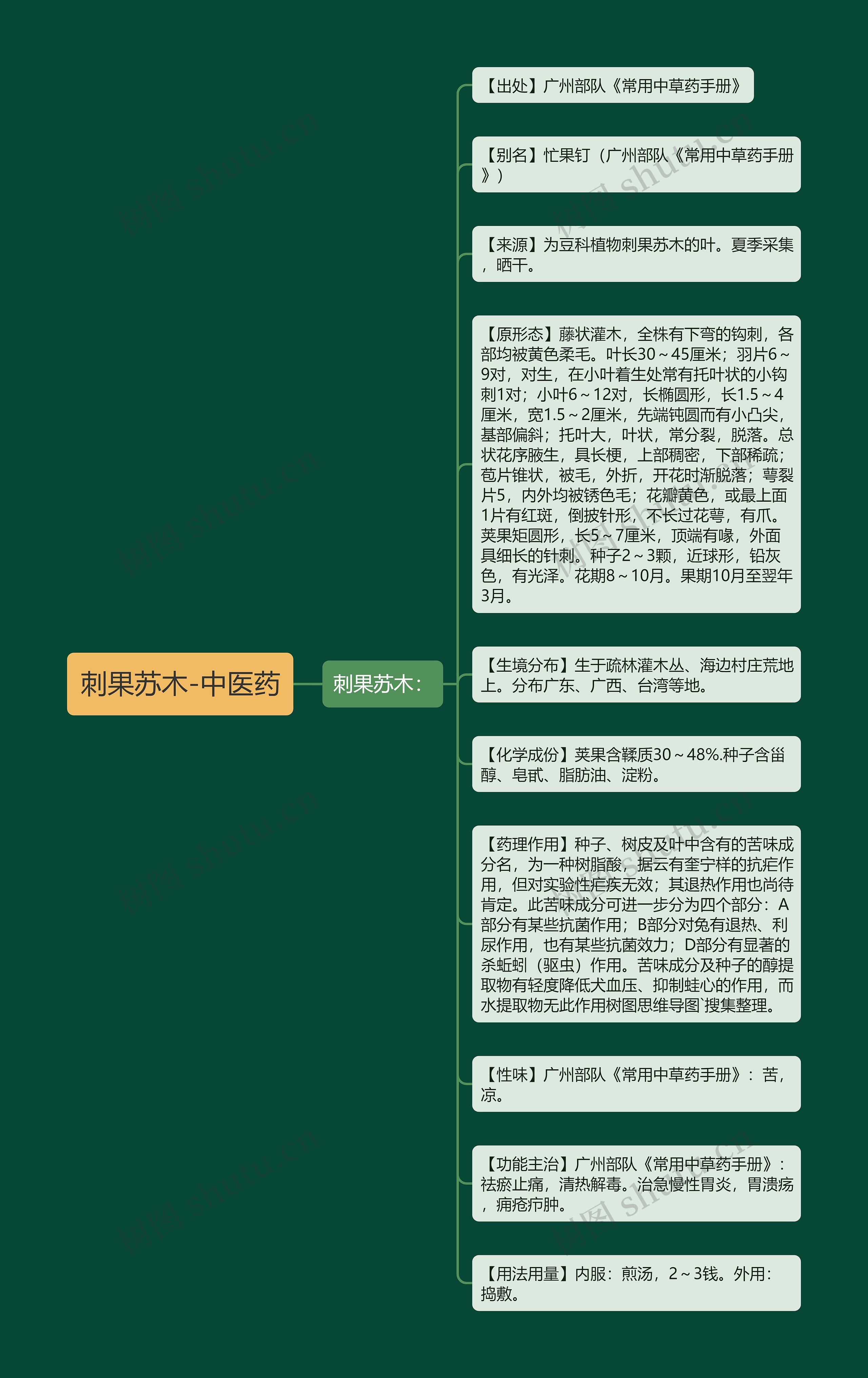 刺果苏木-中医药思维导图