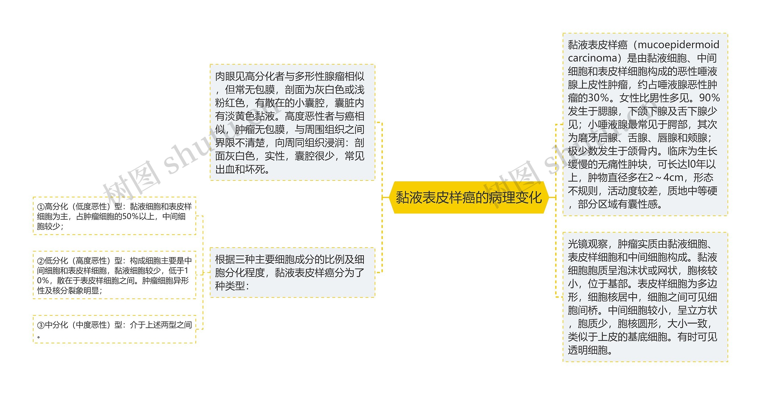 黏液表皮样癌的病理变化 黏液表皮样癌的病理变化