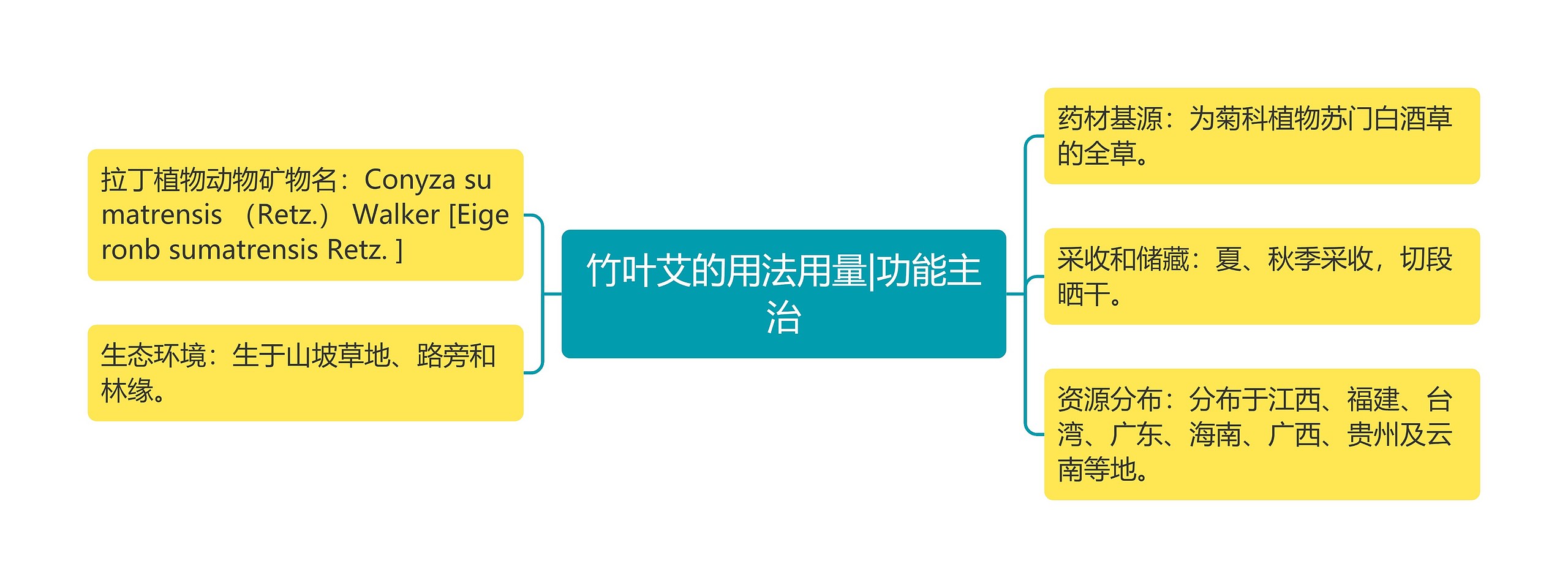 竹叶艾的用法用量|功能主治思维导图