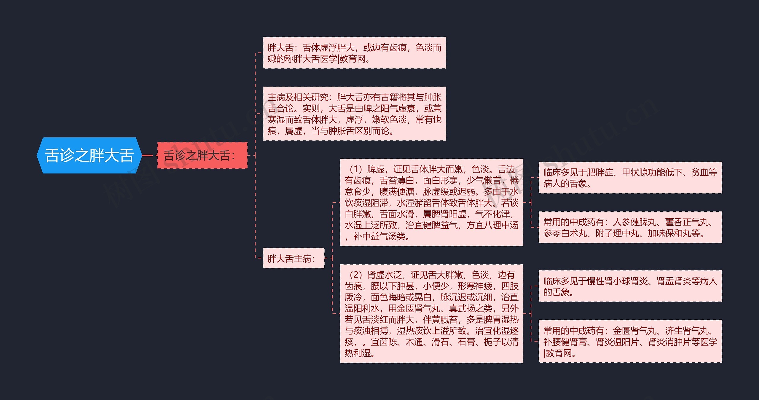 舌诊之胖大舌思维导图