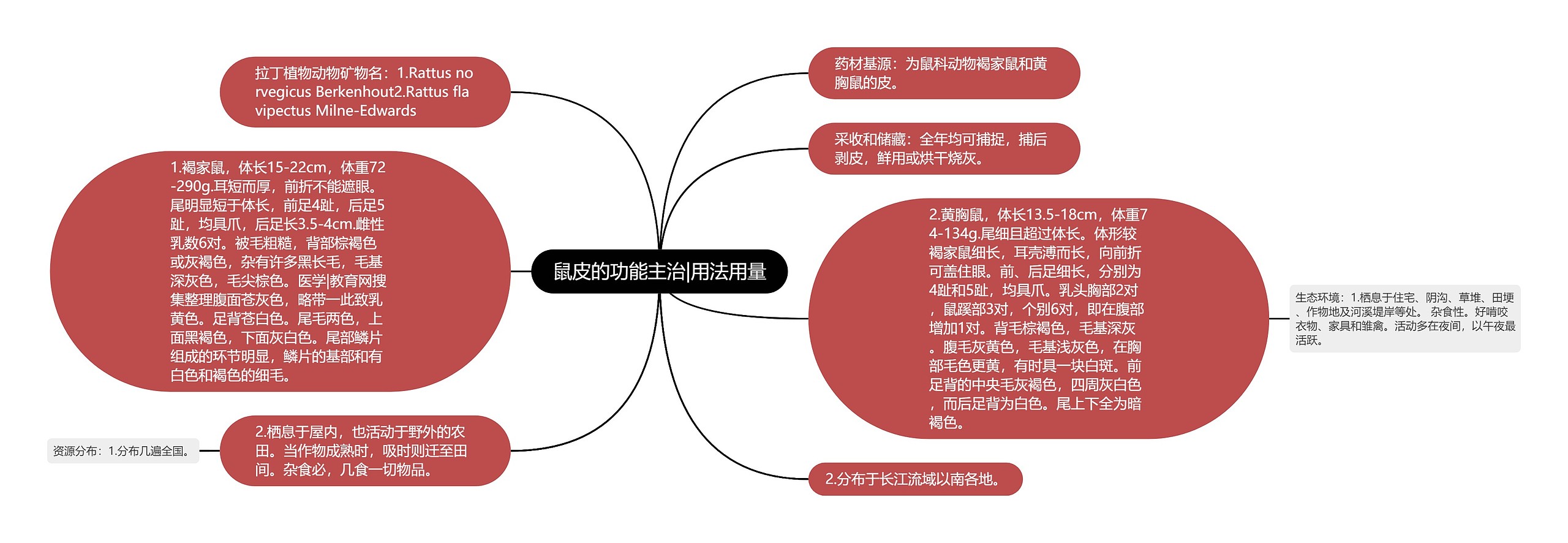 鼠皮的功能主治|用法用量思维导图