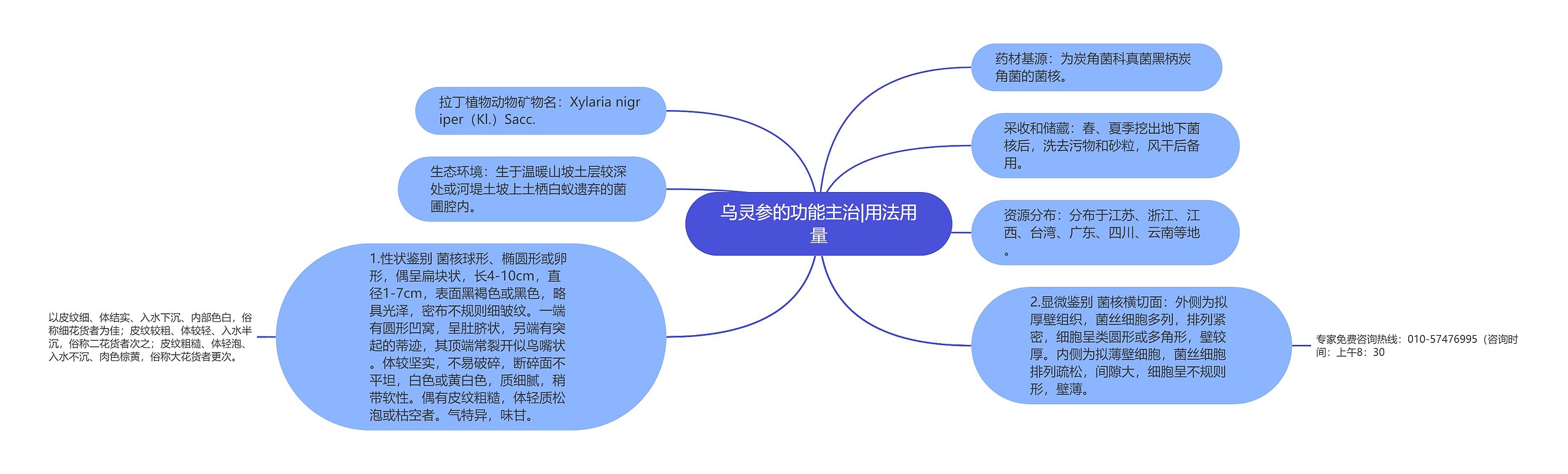 乌灵参的功能主治|用法用量