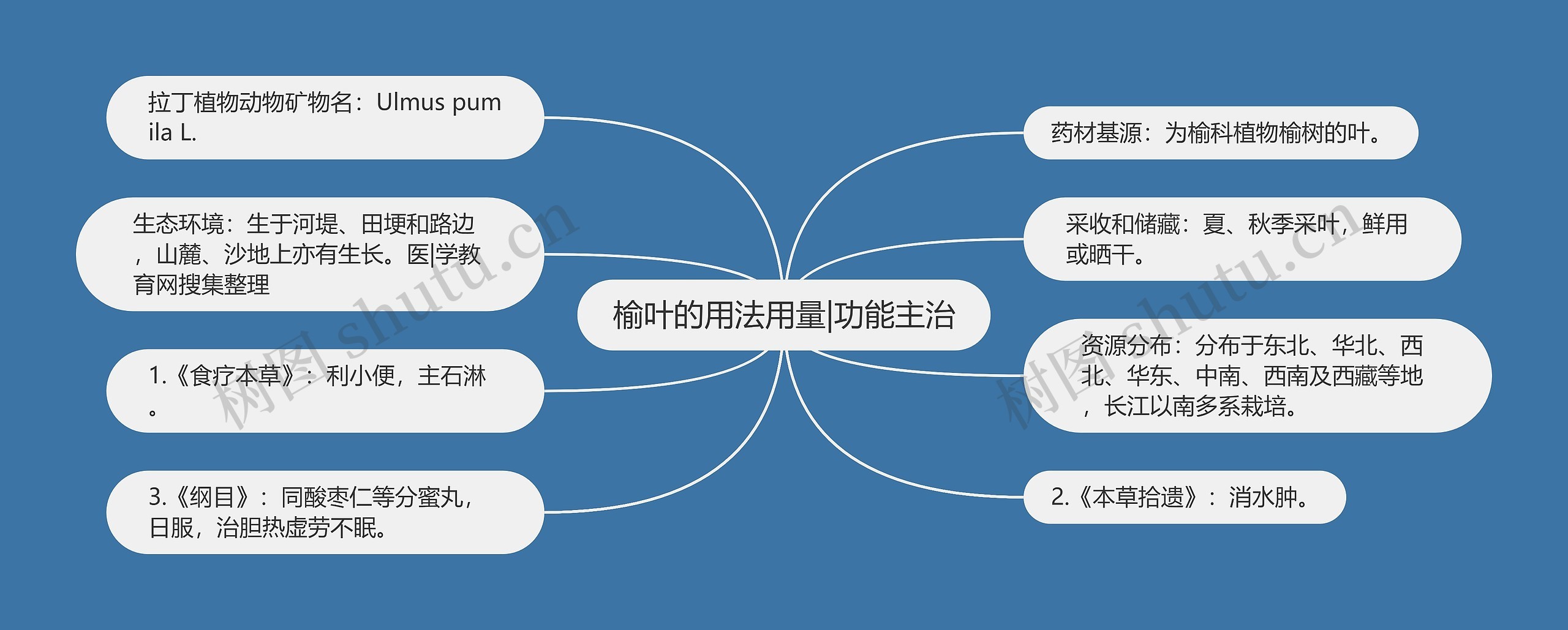 榆叶的用法用量|功能主治思维导图