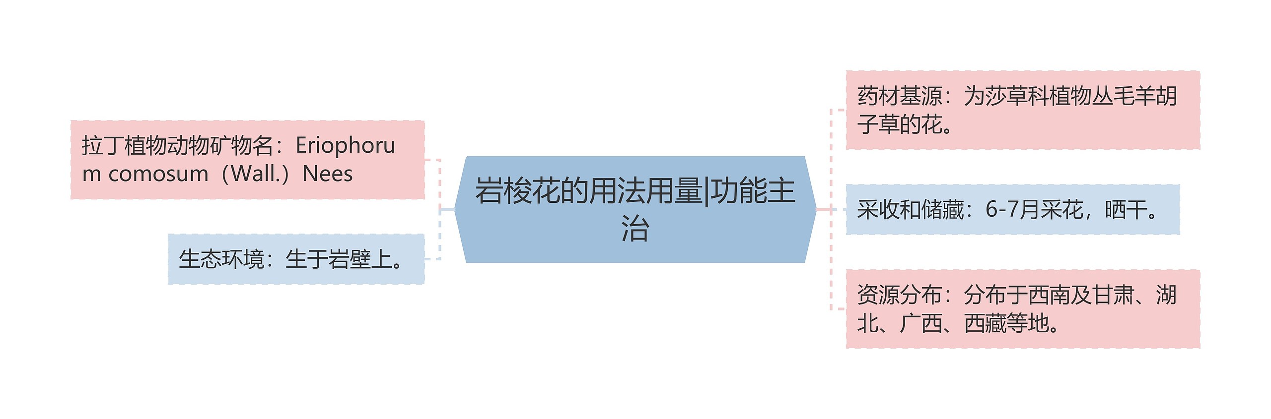 岩梭花的用法用量|功能主治 岩梭花的用法用量|功能主治