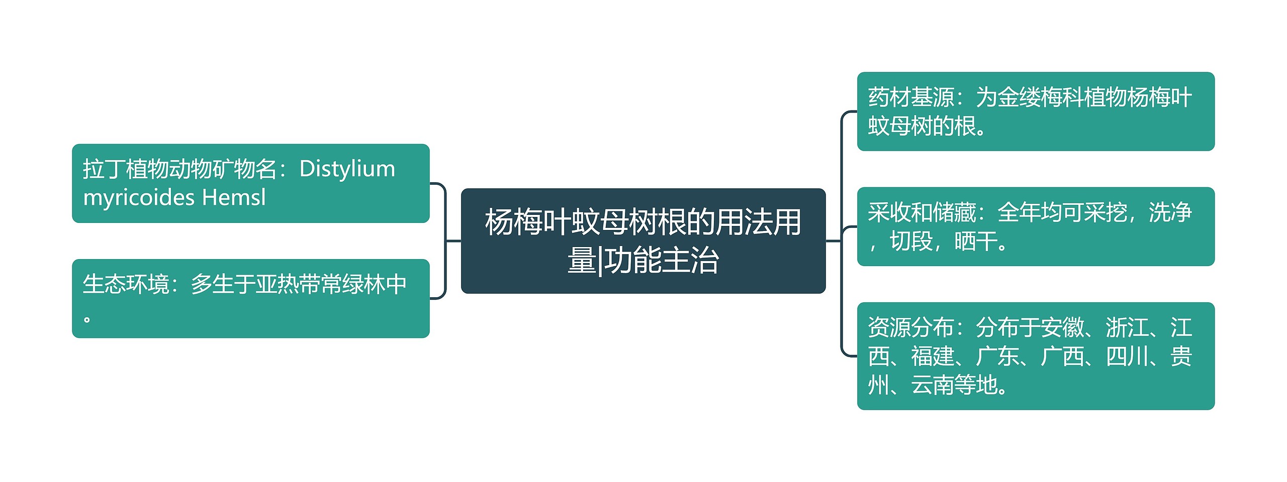 杨梅叶蚊母树根的用法用量|功能主治