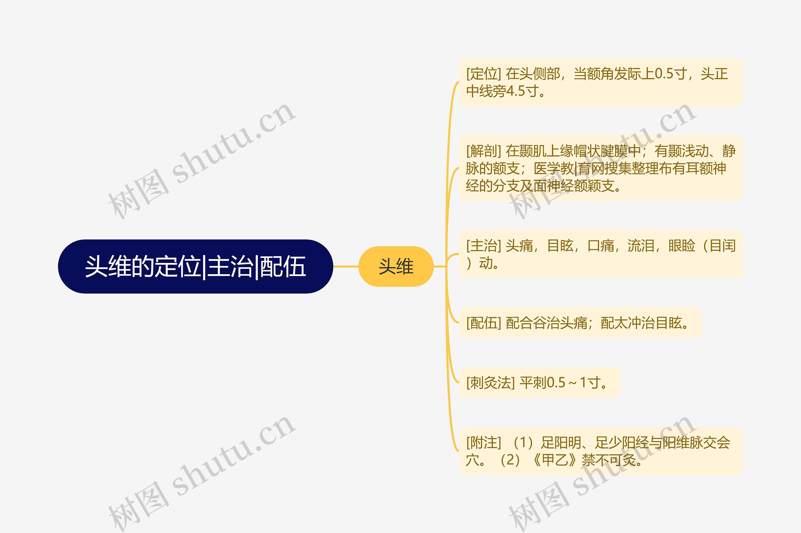 头维的定位|主治|配伍 头维的定位|主治|配伍