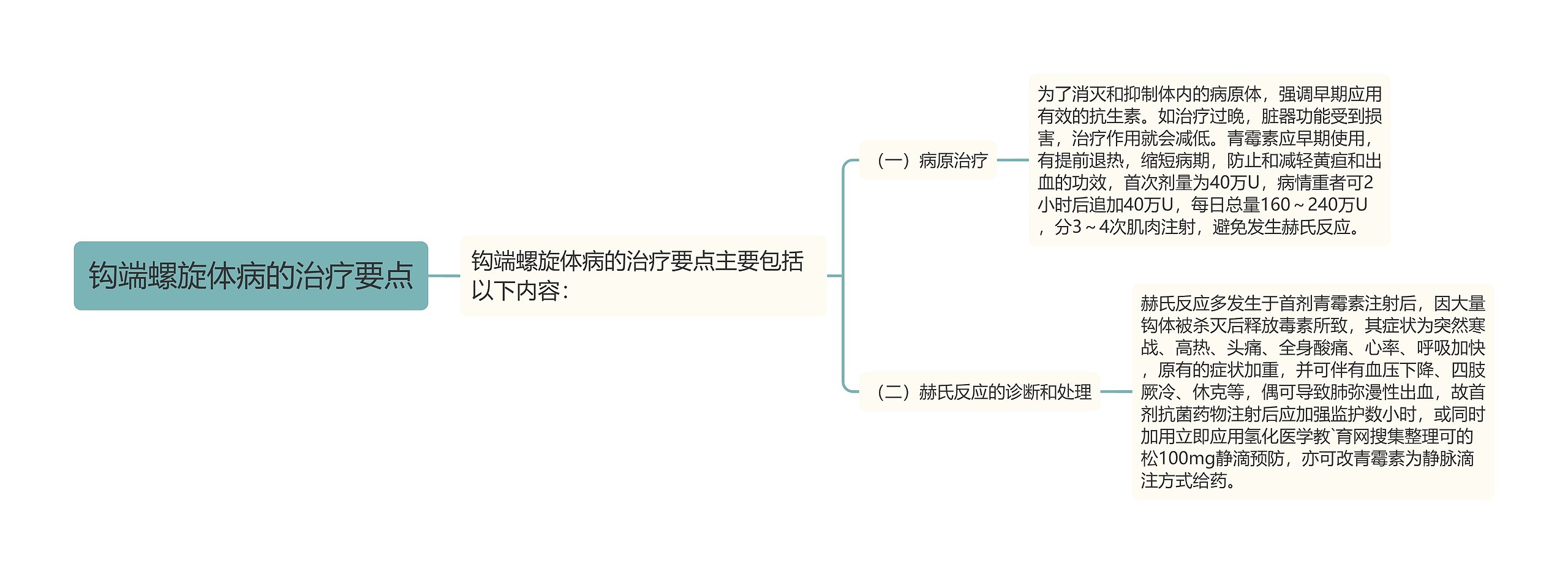 钩端螺旋体病的治疗要点