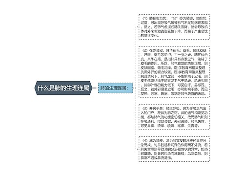 什么是肺的生理连属