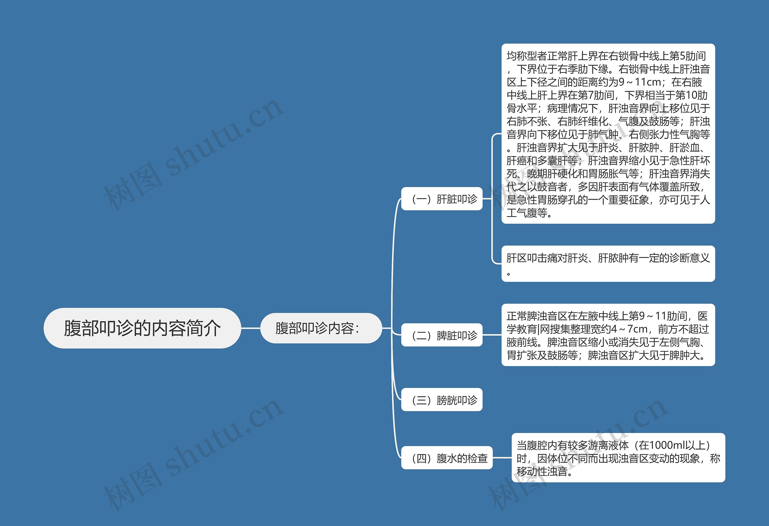 腹部叩诊的内容简介