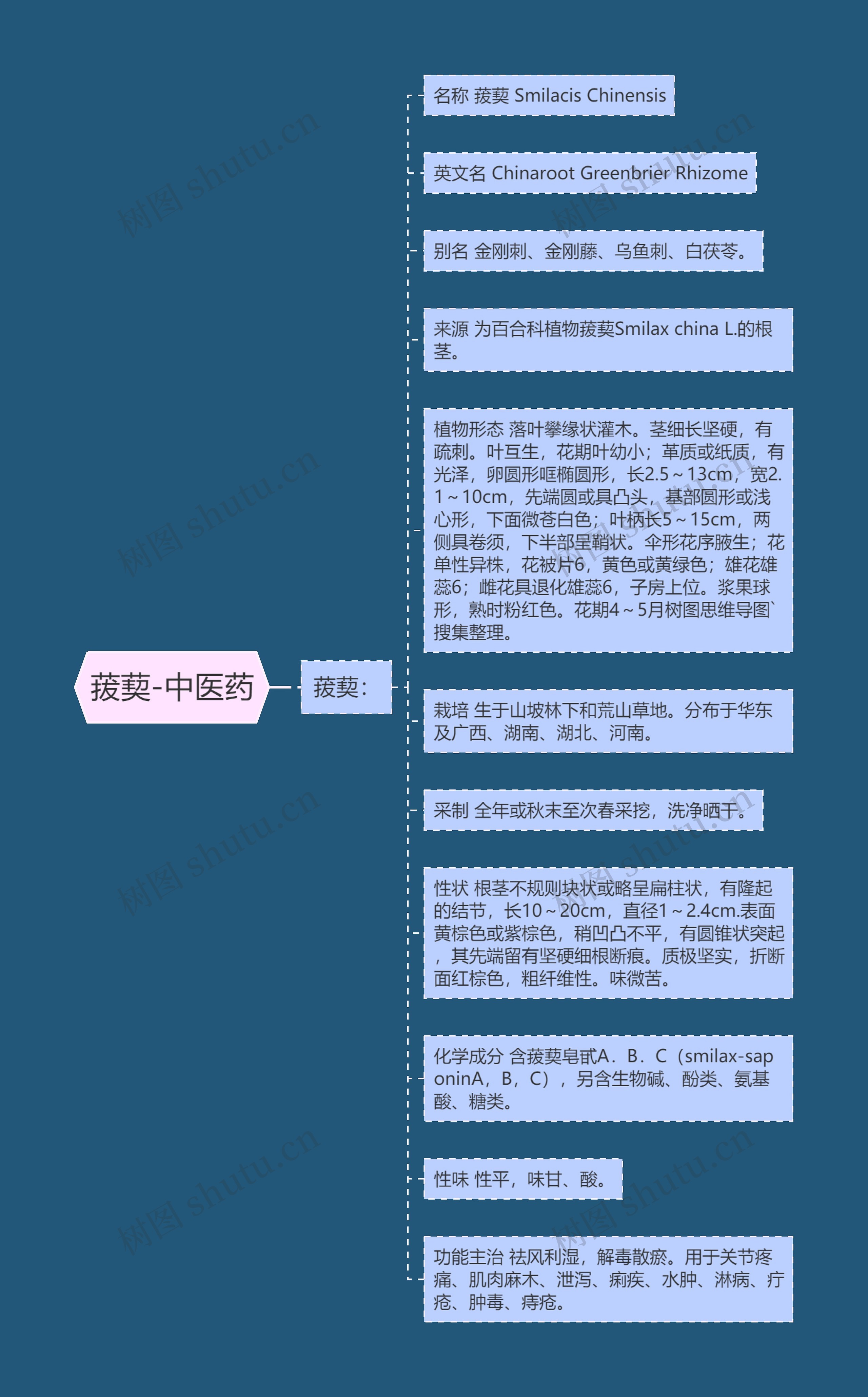 菝葜-中医药 菝葜-中医药