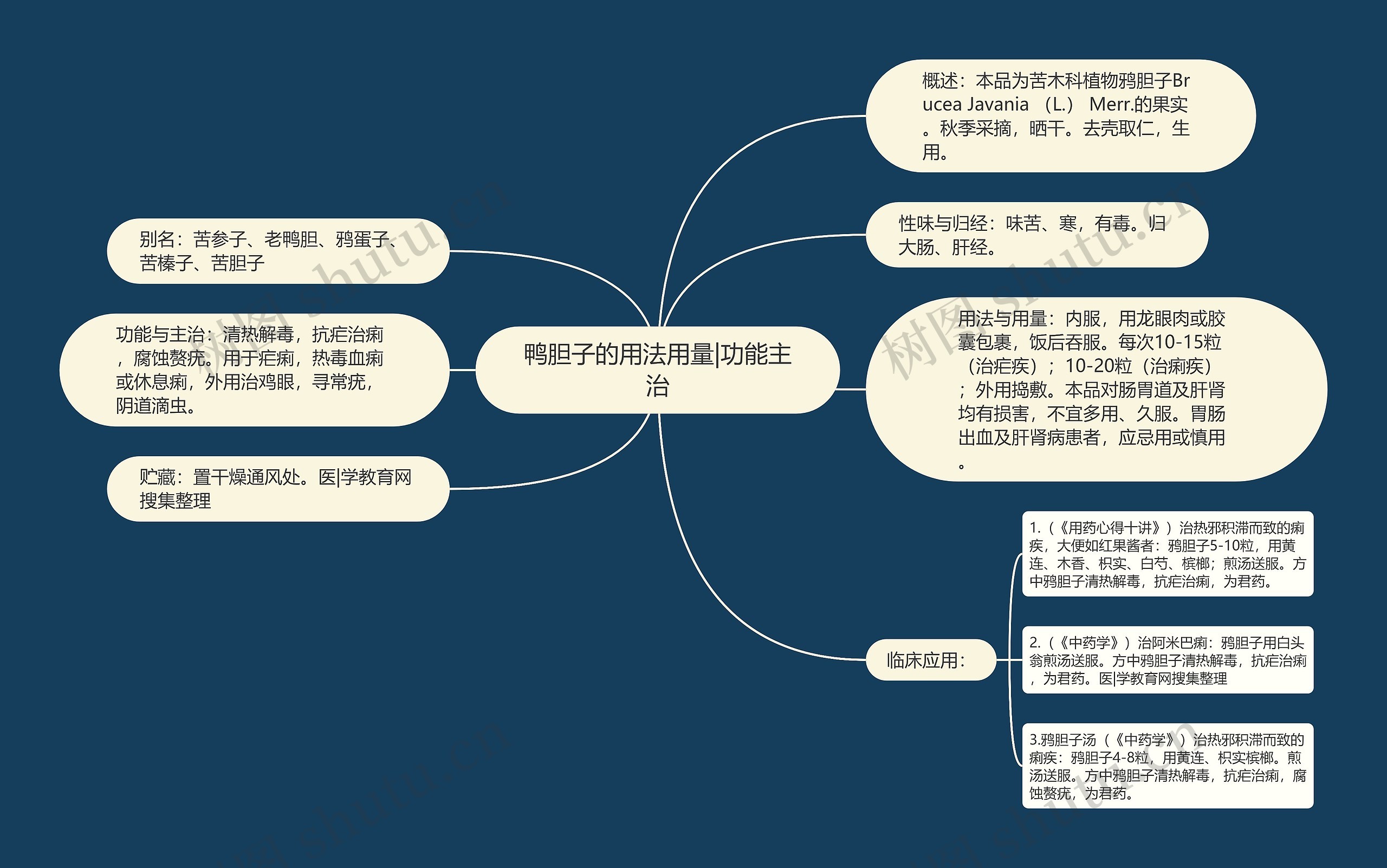 鸭胆子的用法用量|功能主治思维导图