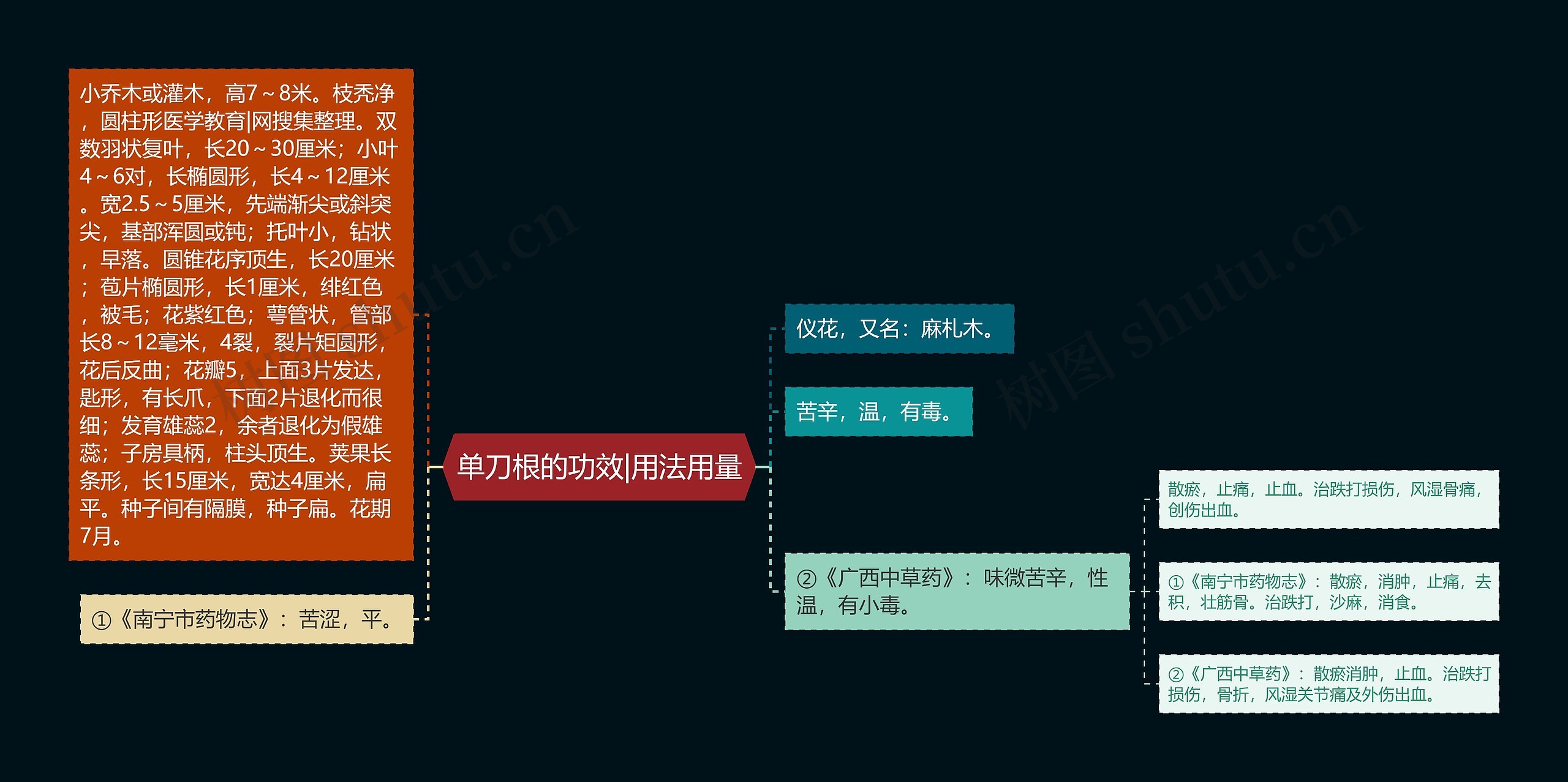 单刀根的功效|用法用量