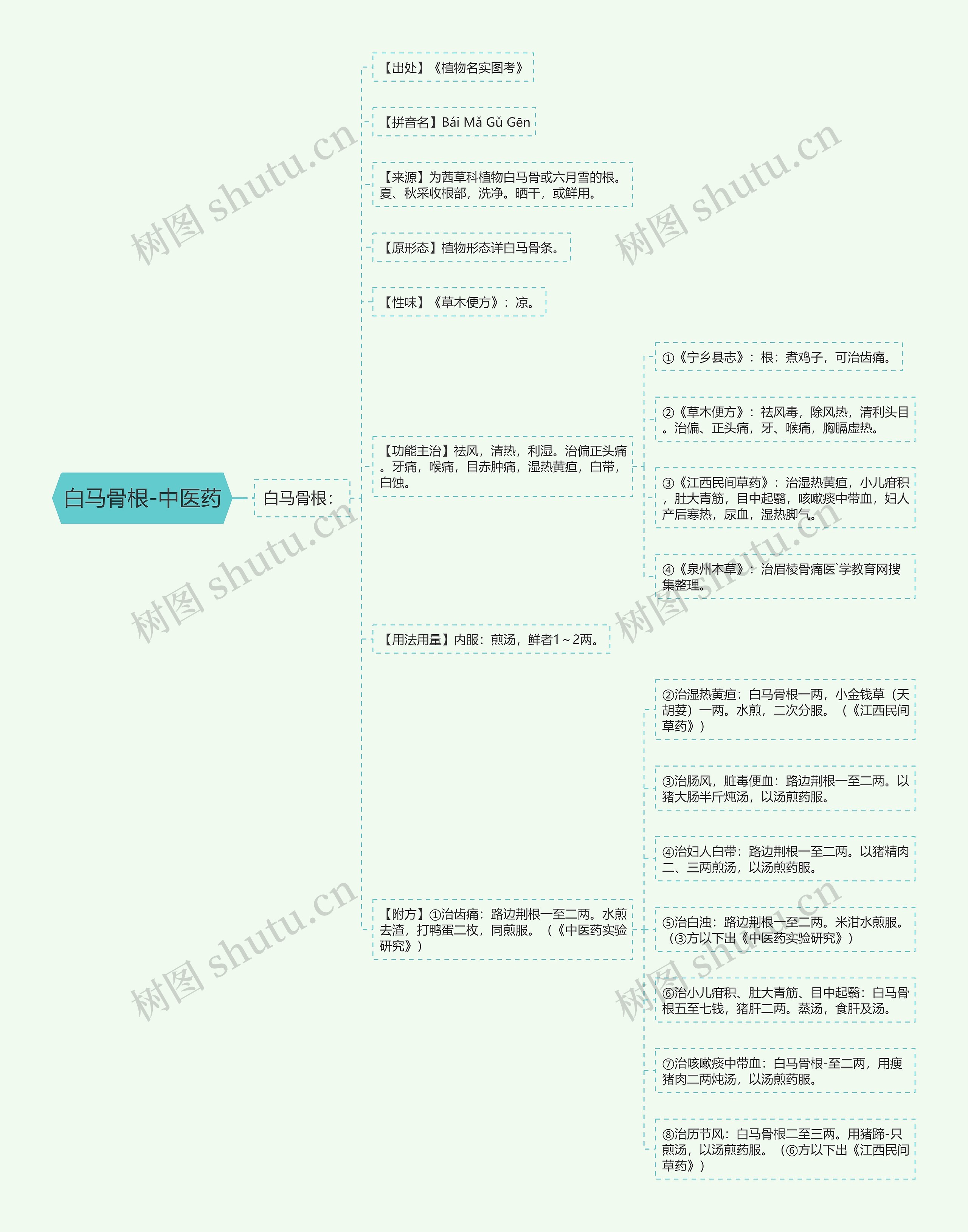 白马骨根-中医药思维导图