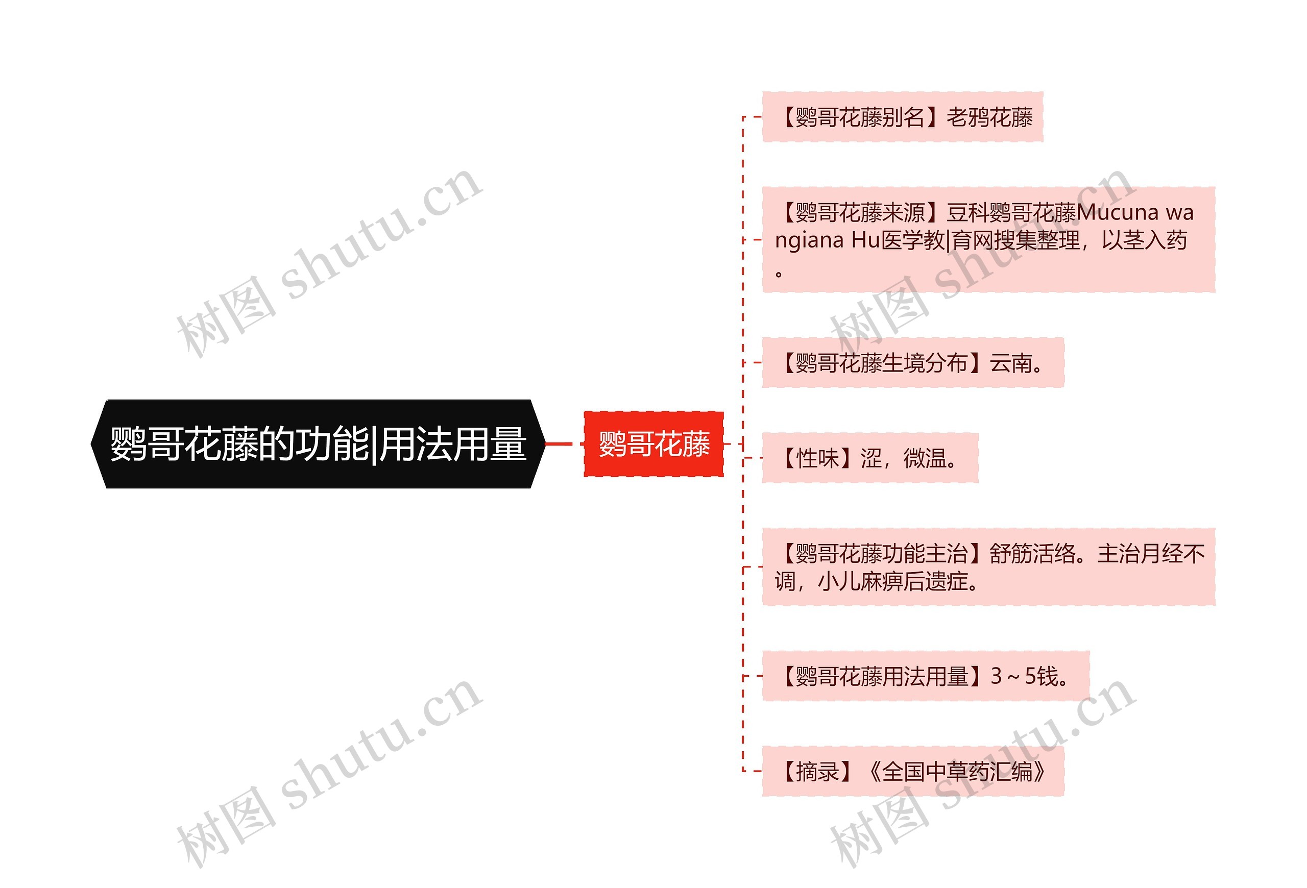 鹦哥花藤的功能|用法用量