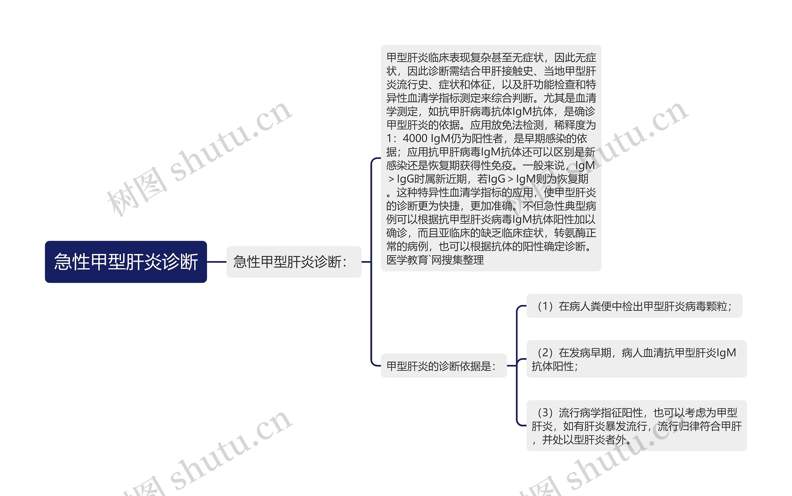 急性甲型肝炎诊断思维导图