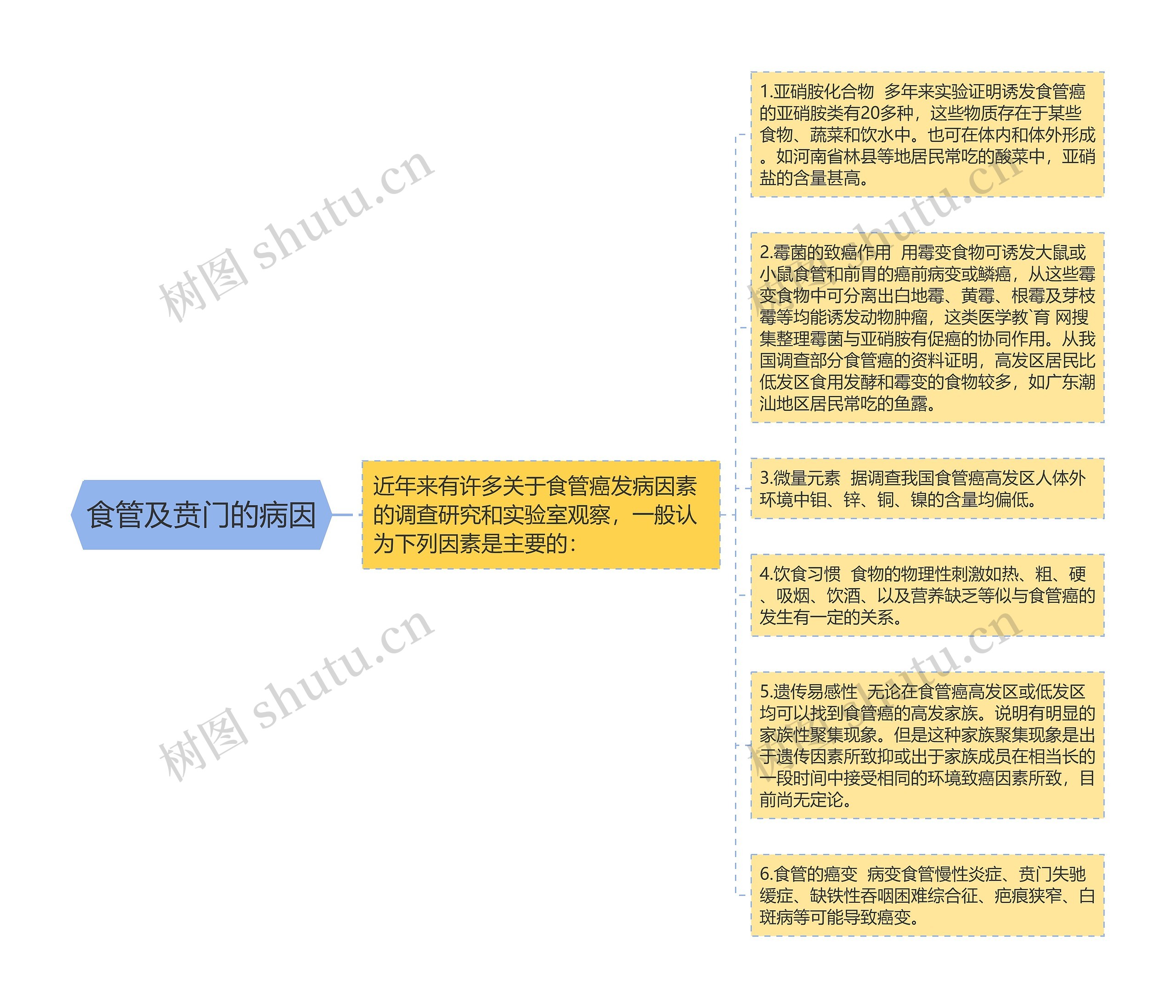 食管及贲门的病因