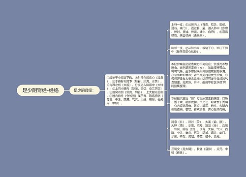 足少阴肾经-经络
