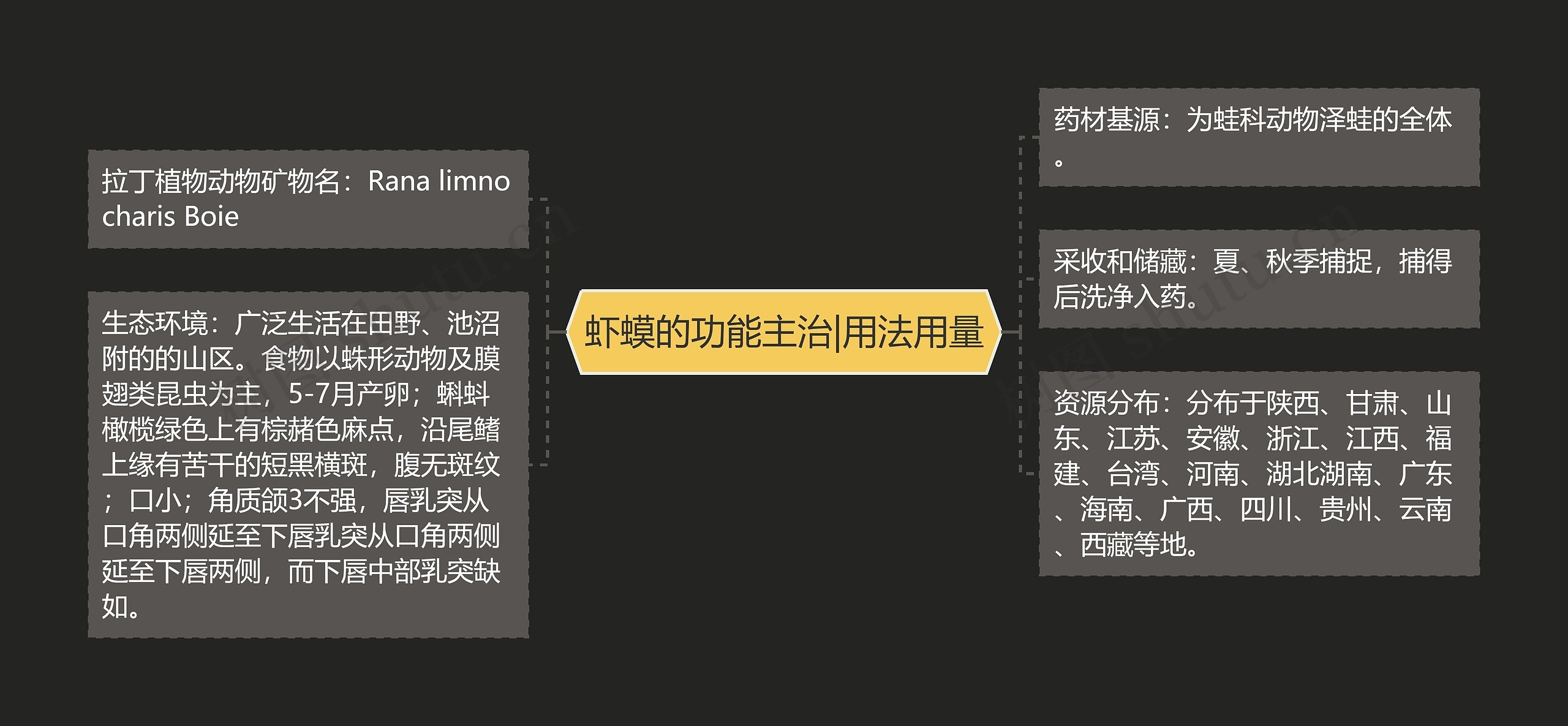 虾蟆的功能主治|用法用量思维导图