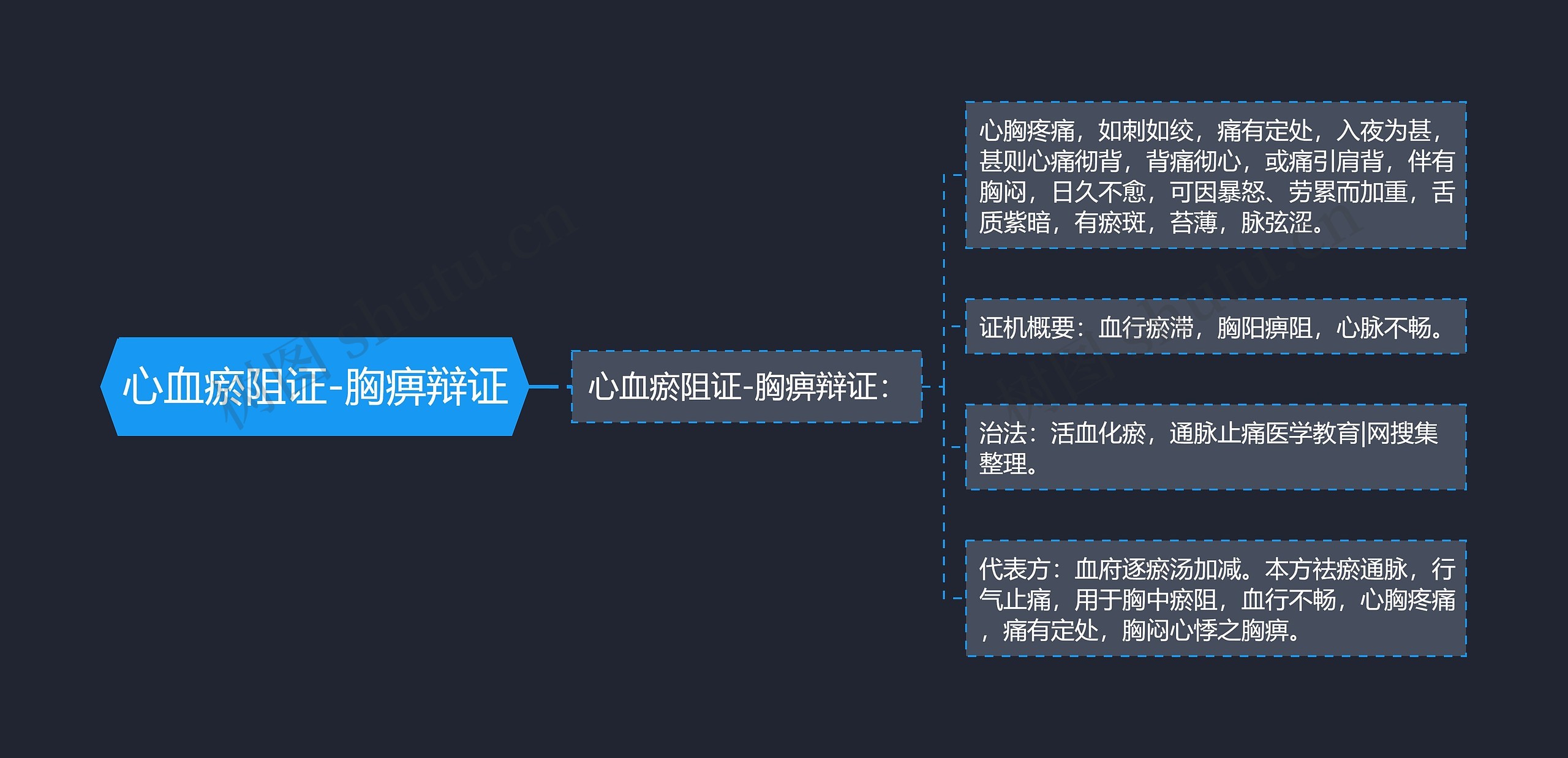 心血瘀阻证-胸痹辩证思维导图