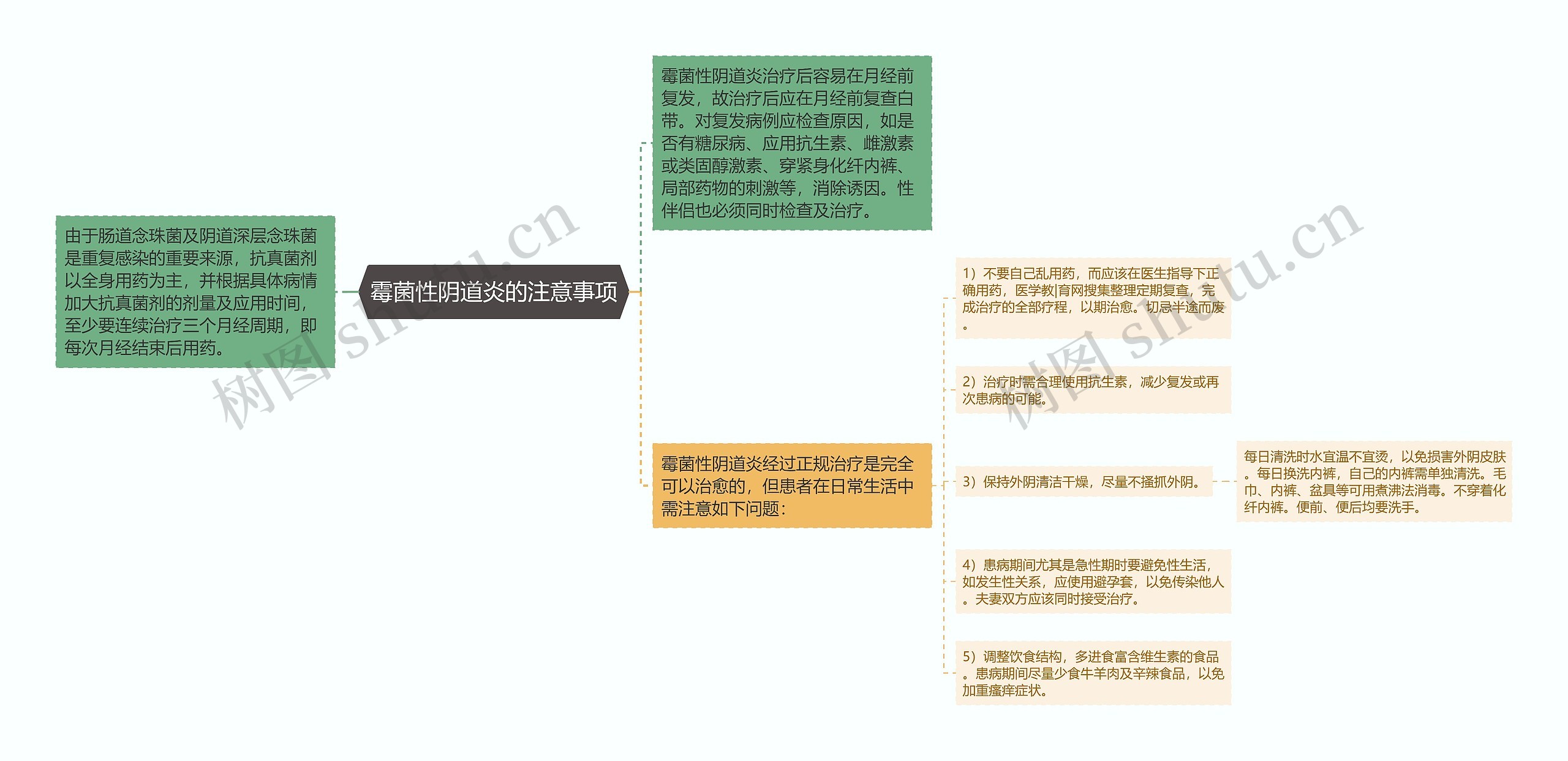 霉菌性阴道炎的注意事项思维导图