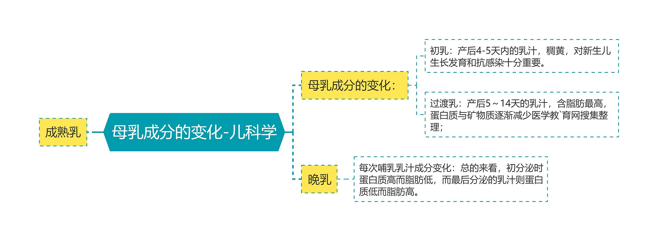 母乳成分的变化-儿科学思维导图