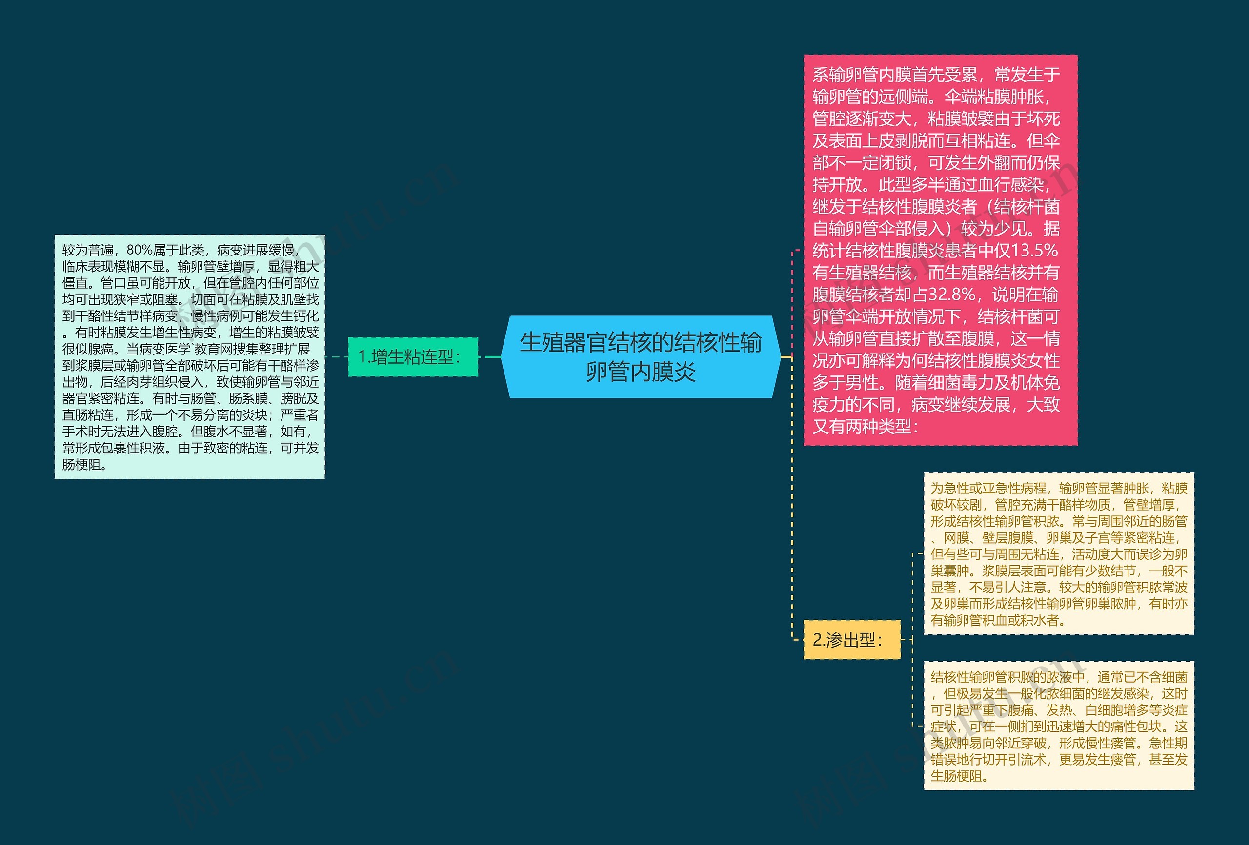 生殖器官结核的结核性输卵管内膜炎