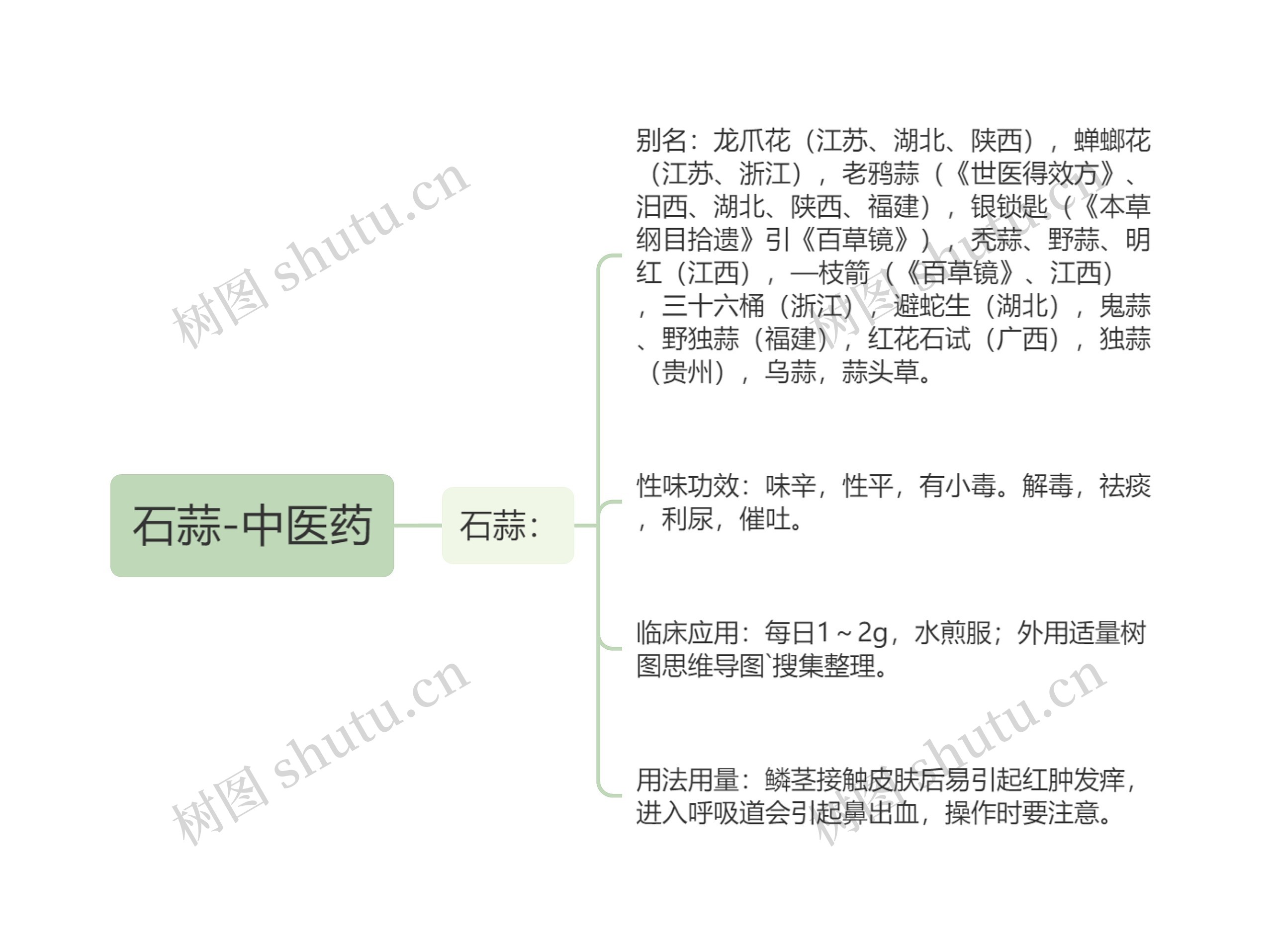 石蒜-中医药 石蒜-中医药