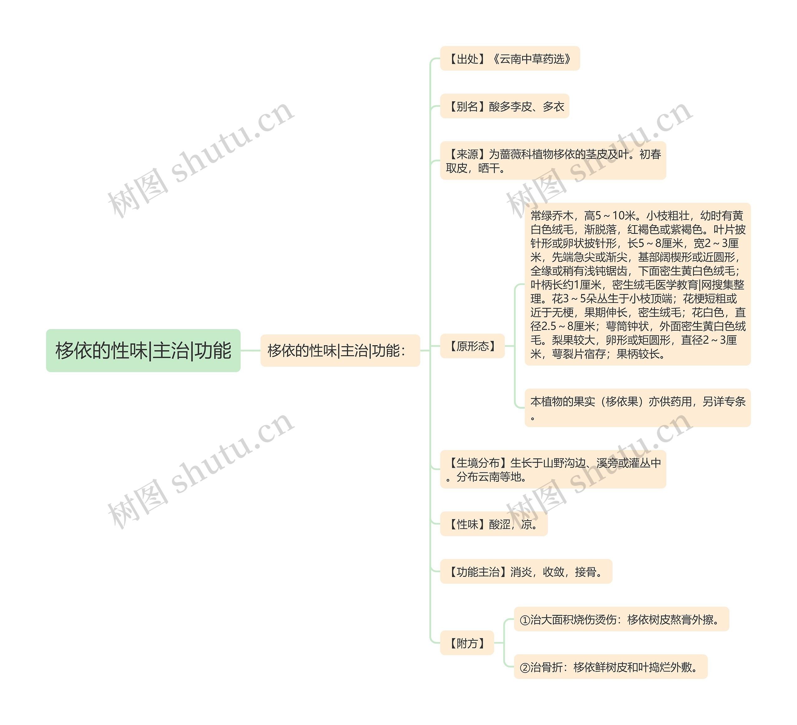 栘依的性味|主治|功能思维导图