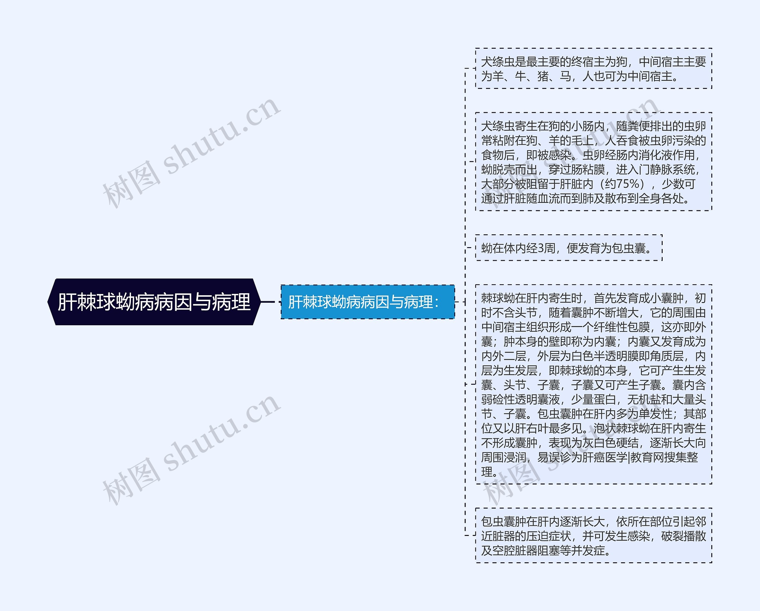 肝棘球蚴病病因与病理思维导图