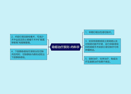 肾癌治疗原则-内科学