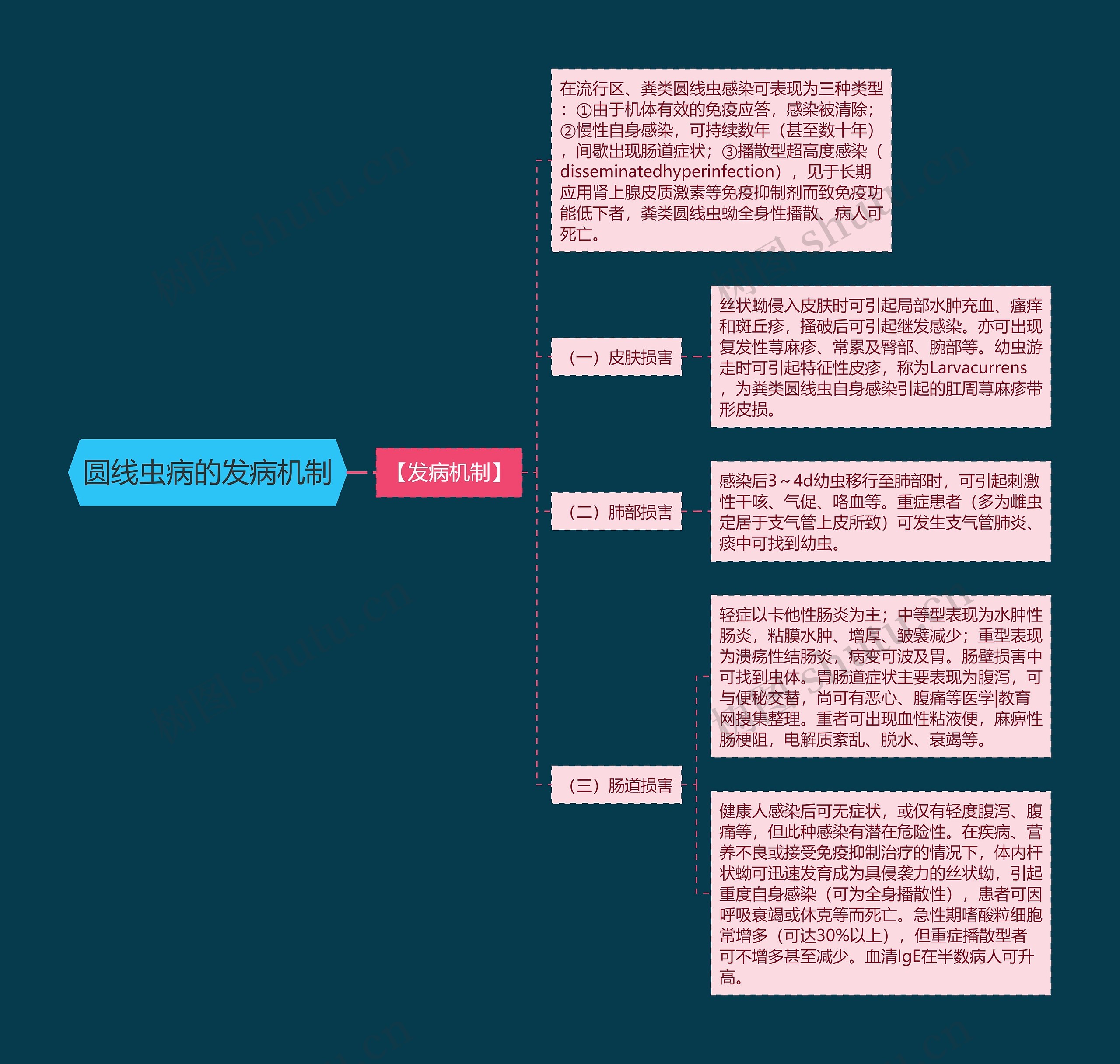 圆线虫病的发病机制思维导图