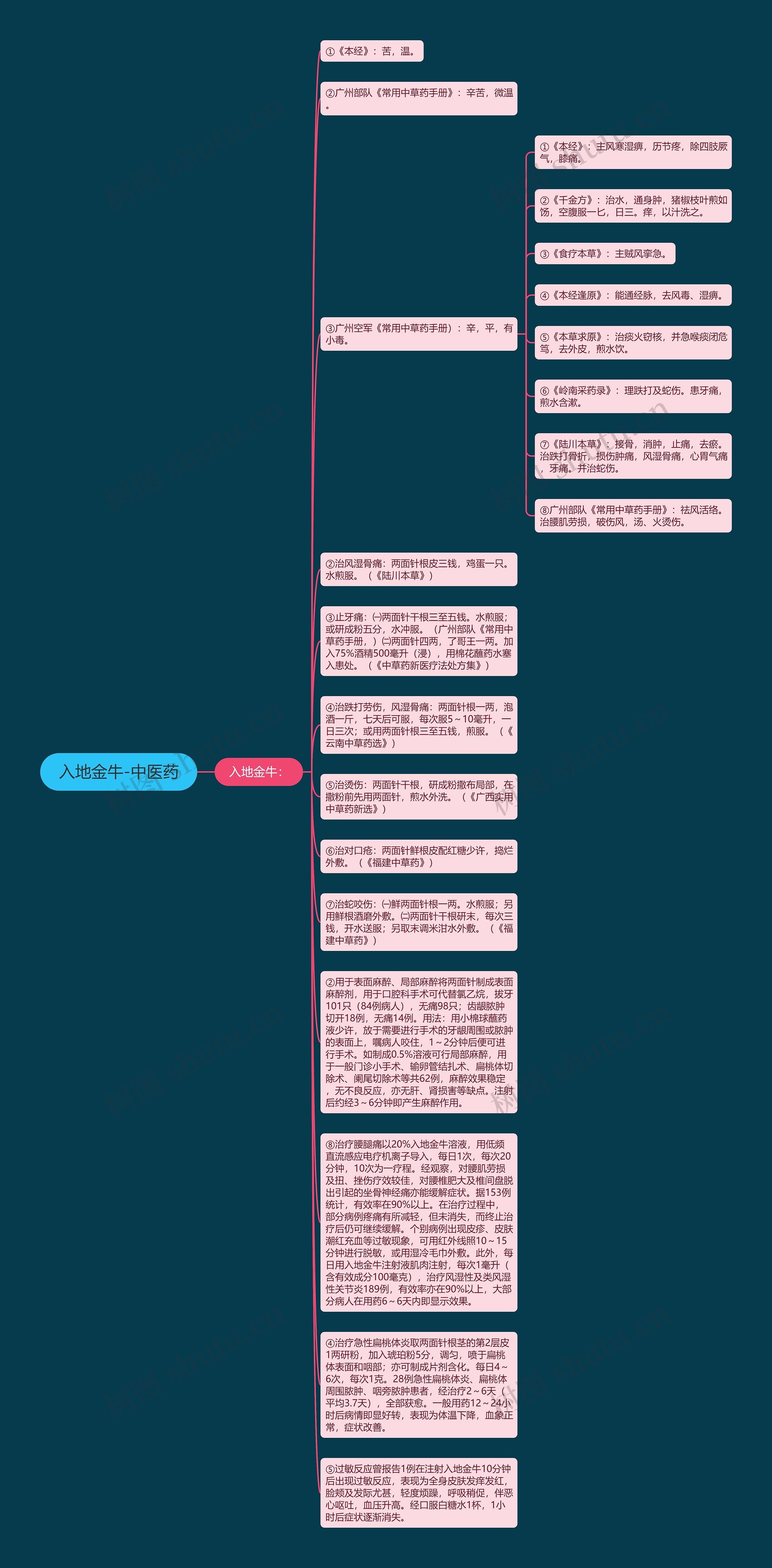 入地金牛-中医药思维导图