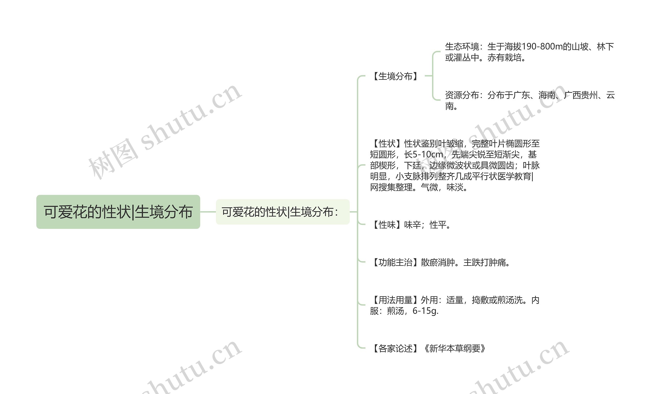 可爱花的性状|生境分布