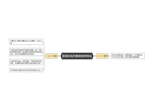 面侧深区的解剖结构特征