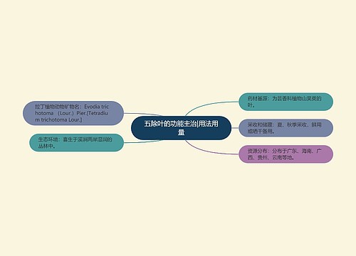 五除叶的功能主治|用法用量