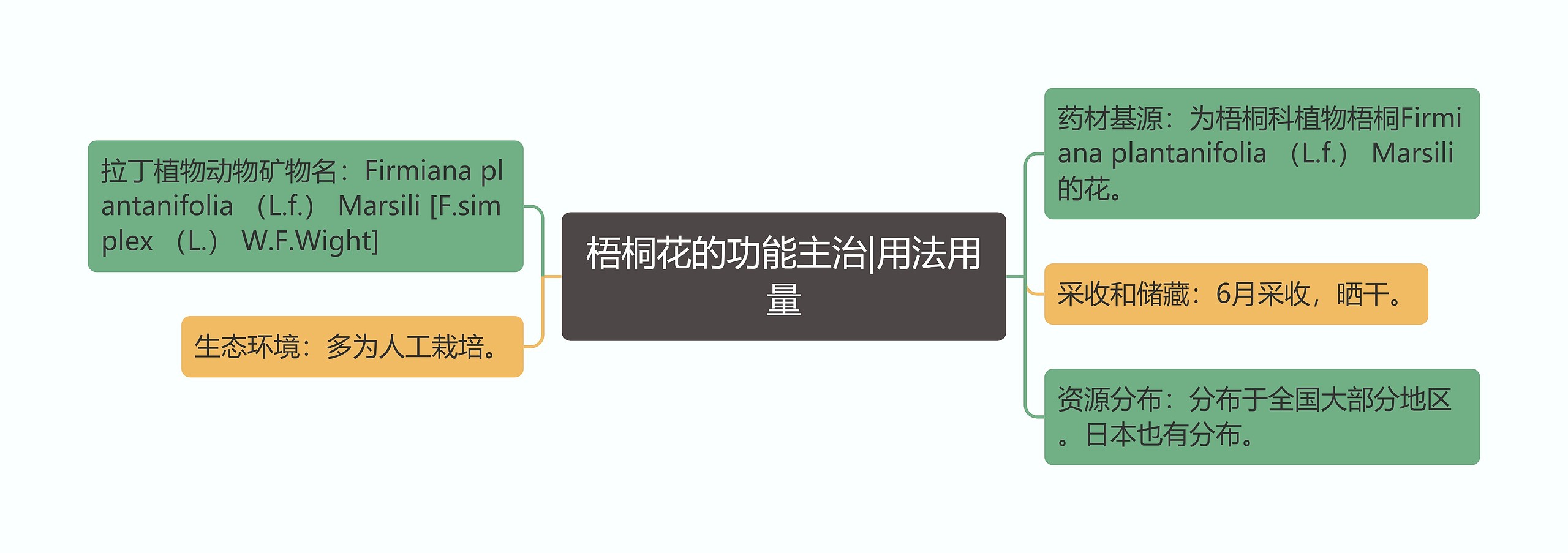 梧桐花的功能主治|用法用量 梧桐花的功能主治|用法用量