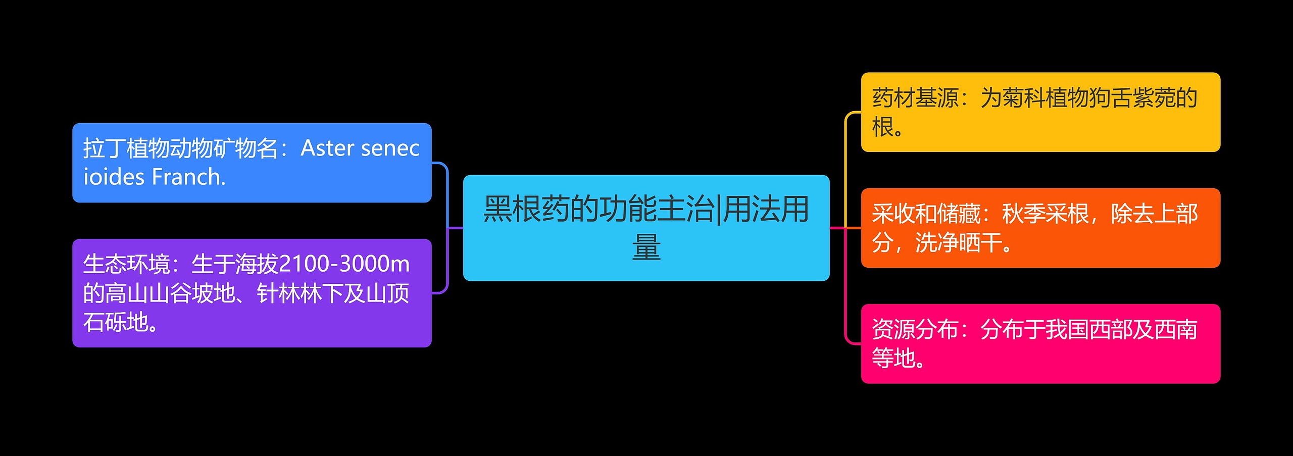 黑根药的功能主治|用法用量