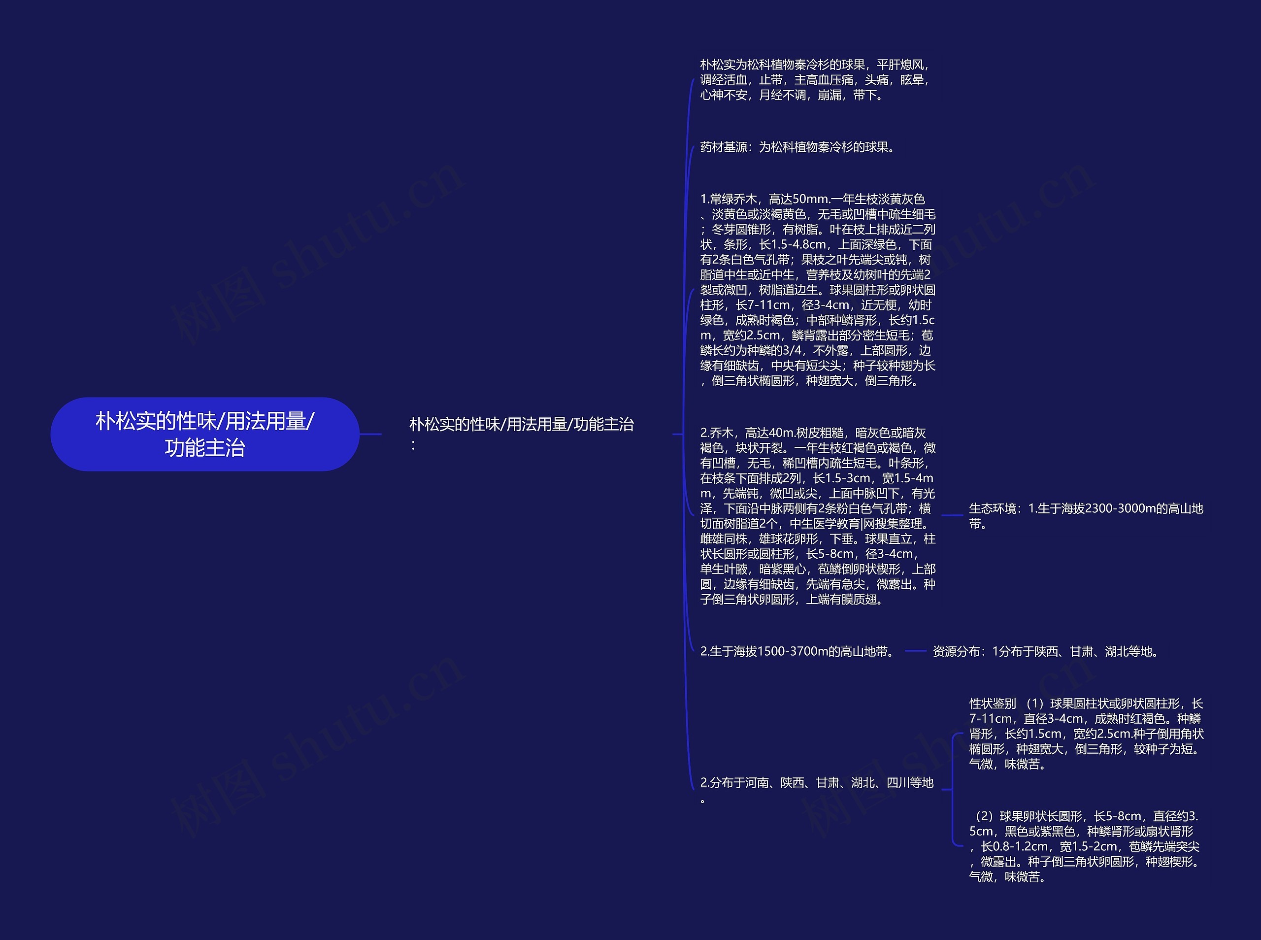 朴松实的性味/用法用量/功能主治思维导图