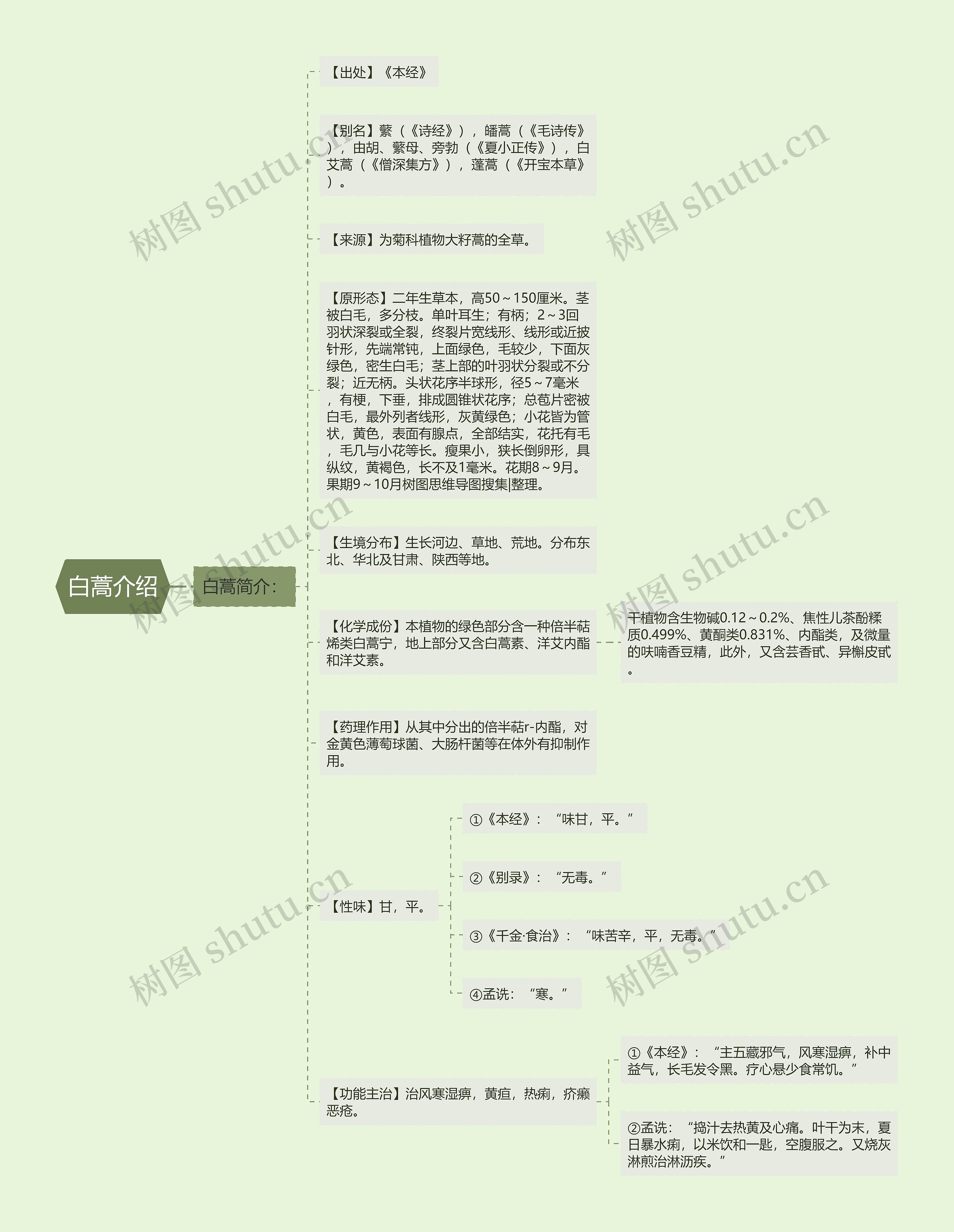 白蒿介绍思维导图