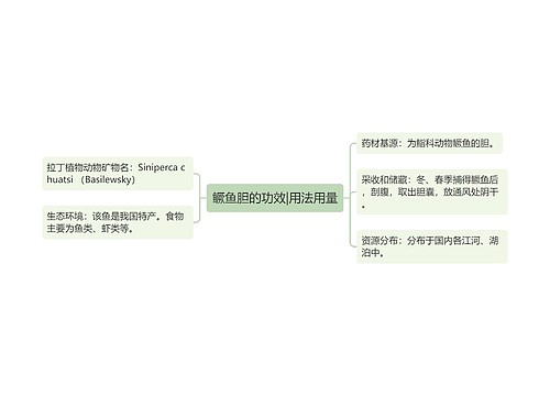 鳜鱼胆的功效|用法用量