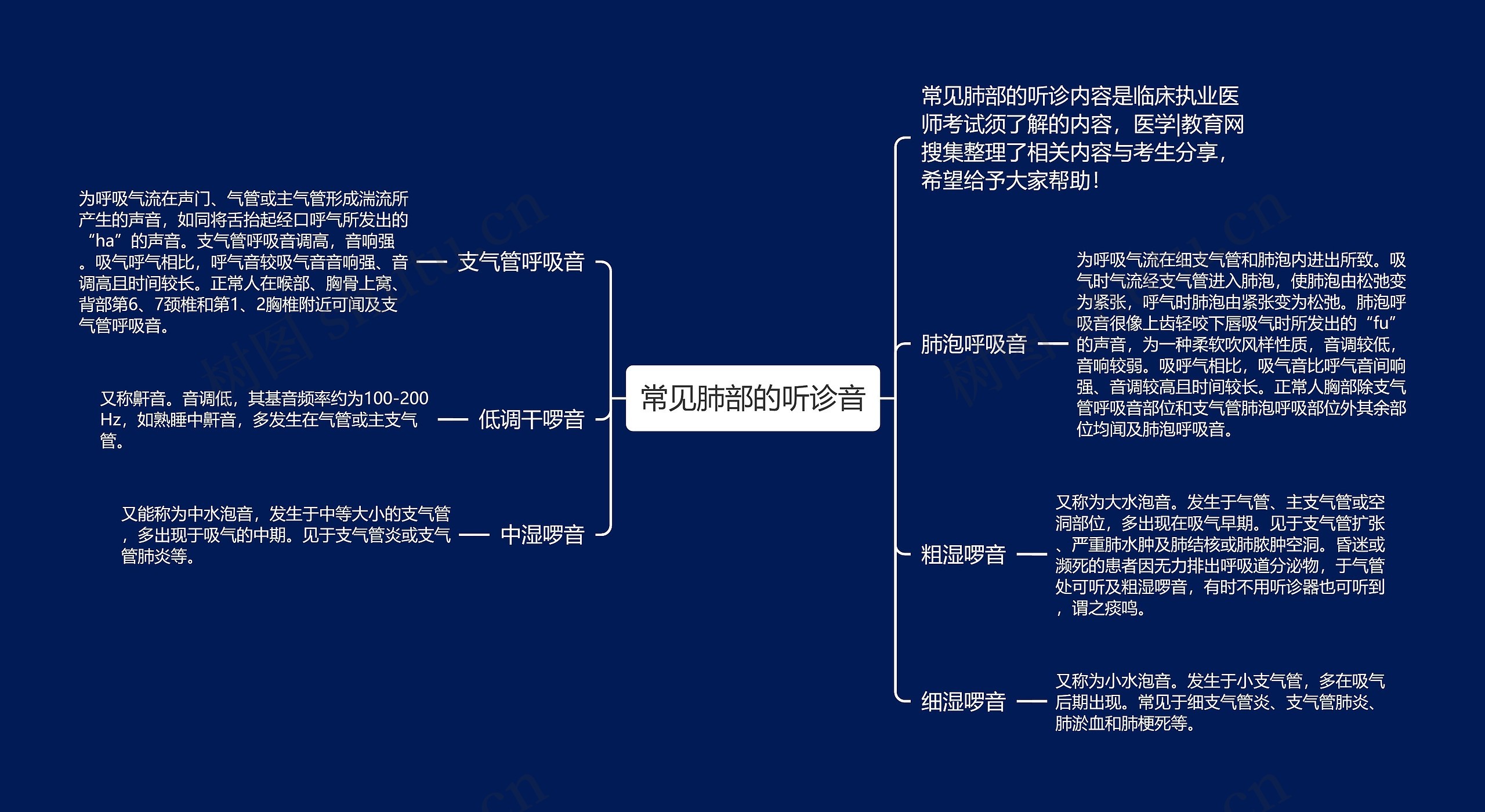 常见肺部的听诊音思维导图