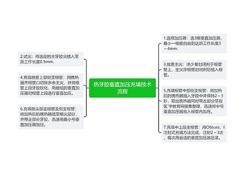 热牙胶垂直加压充填技术流程